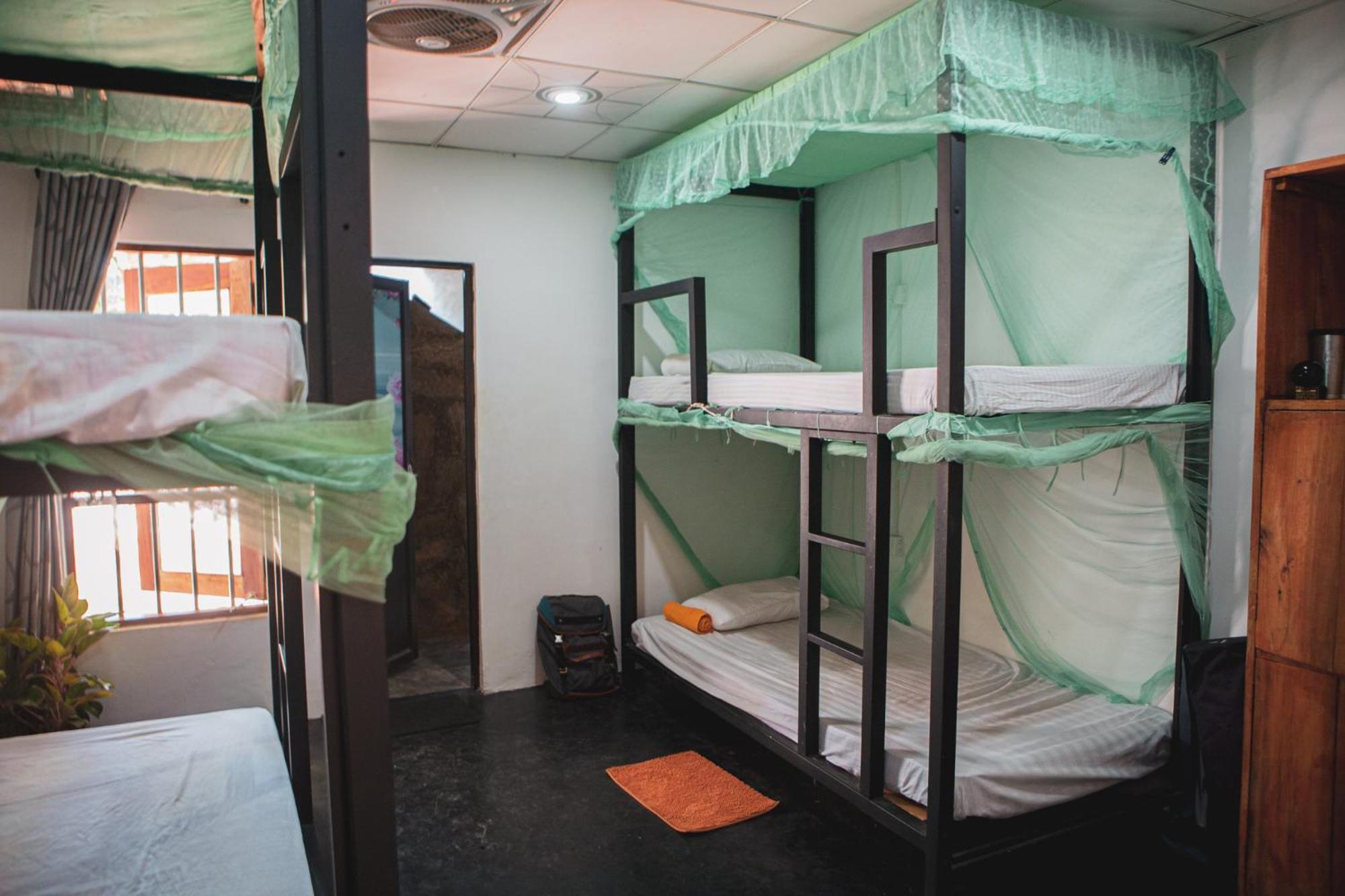 Bunk Bed in Mixed Dormitory Room photo 2