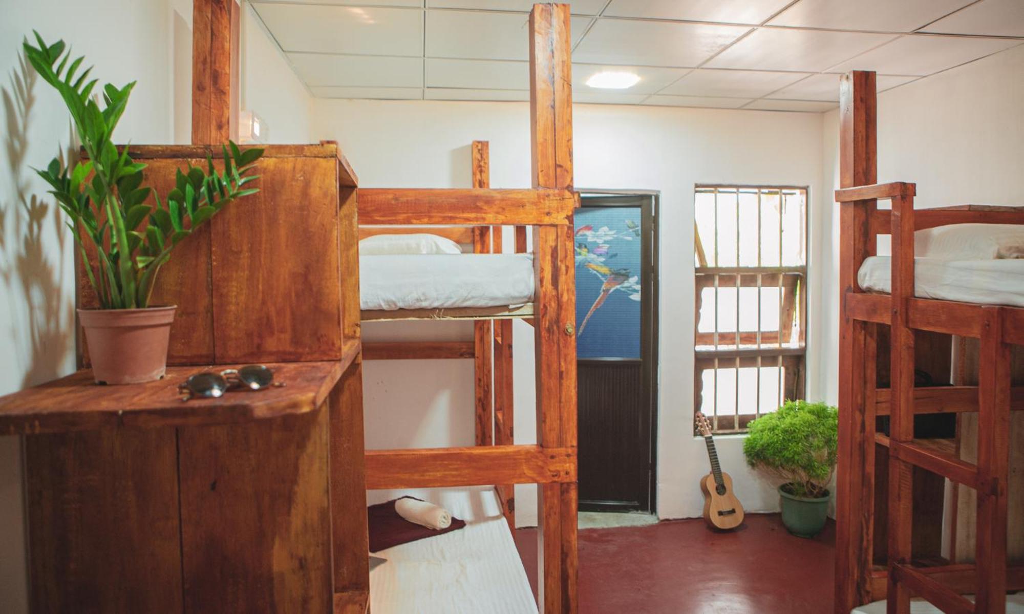 Bunk Bed in Mixed Dormitory Room photo 3