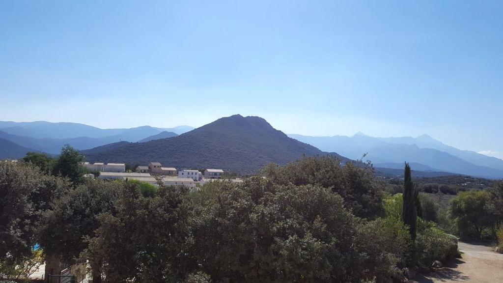 Villa photo 1