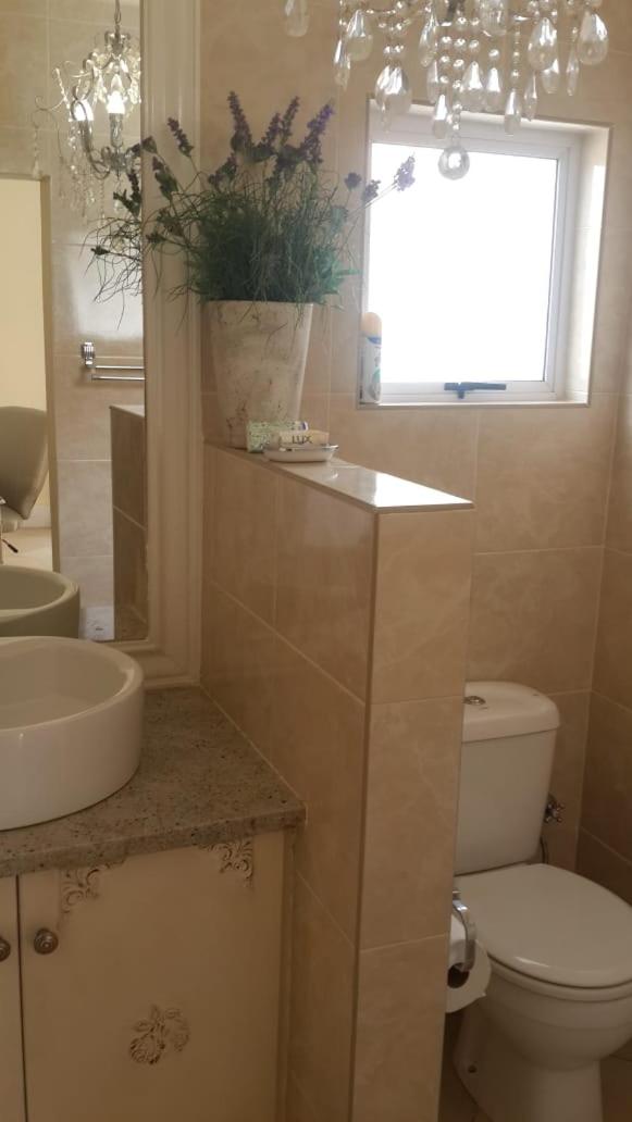 Deluxe Queen Suite - Photo 7