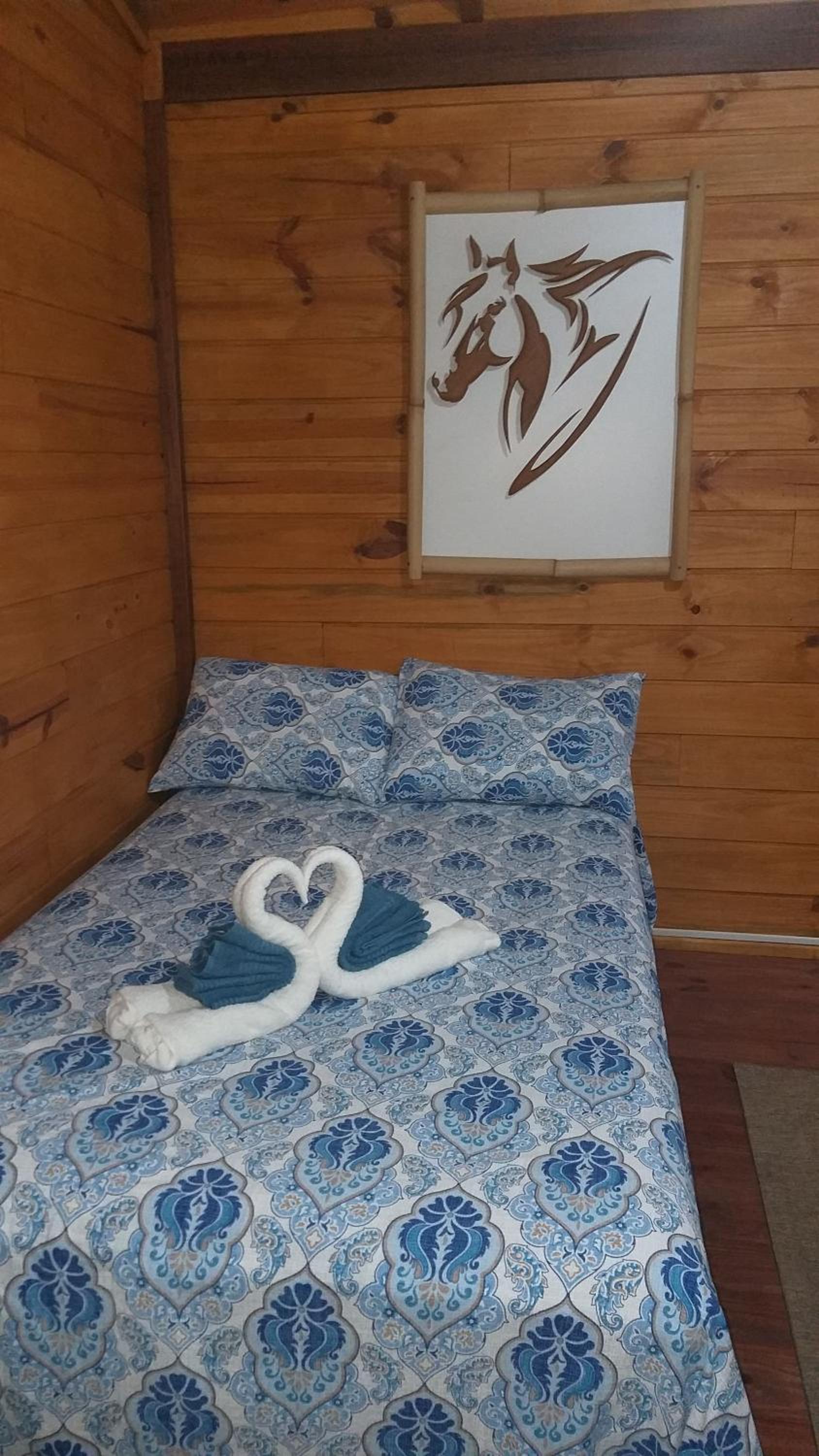 Family Bungalow - Photo 2