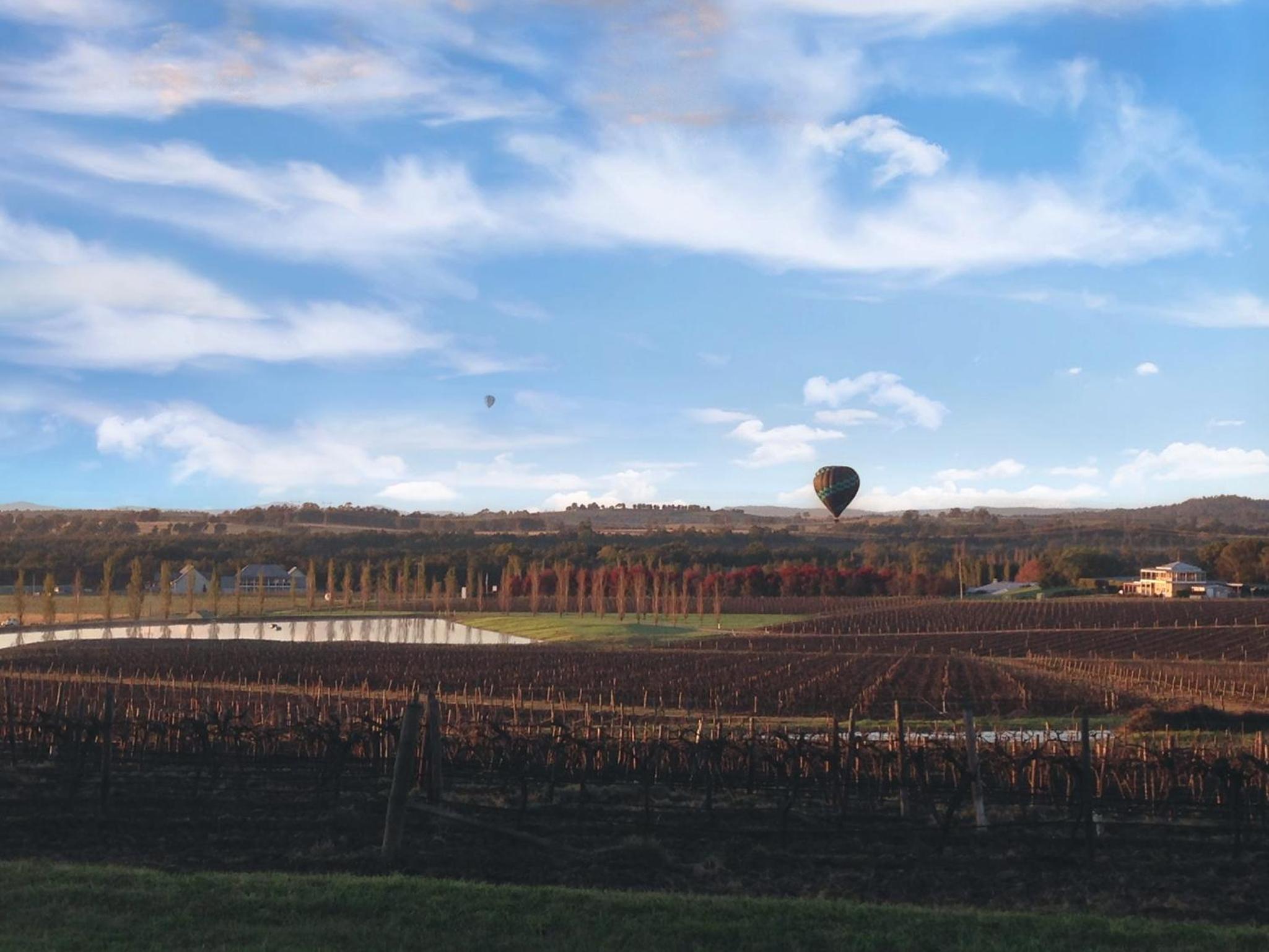 Vineyard View - Deluxe Queen Room  - Photo 6