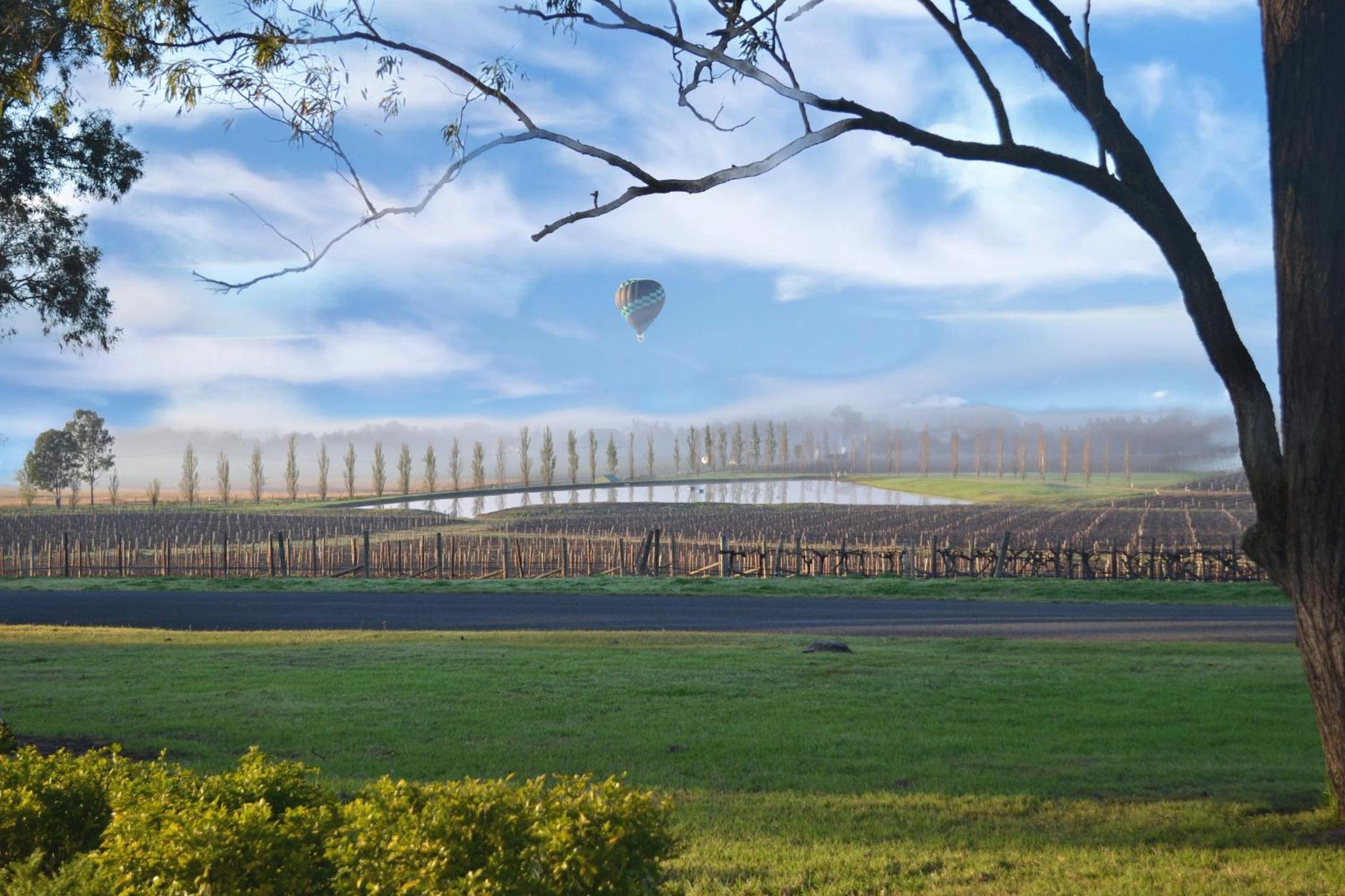 Vineyard View - Deluxe Queen Room  - Photo 10