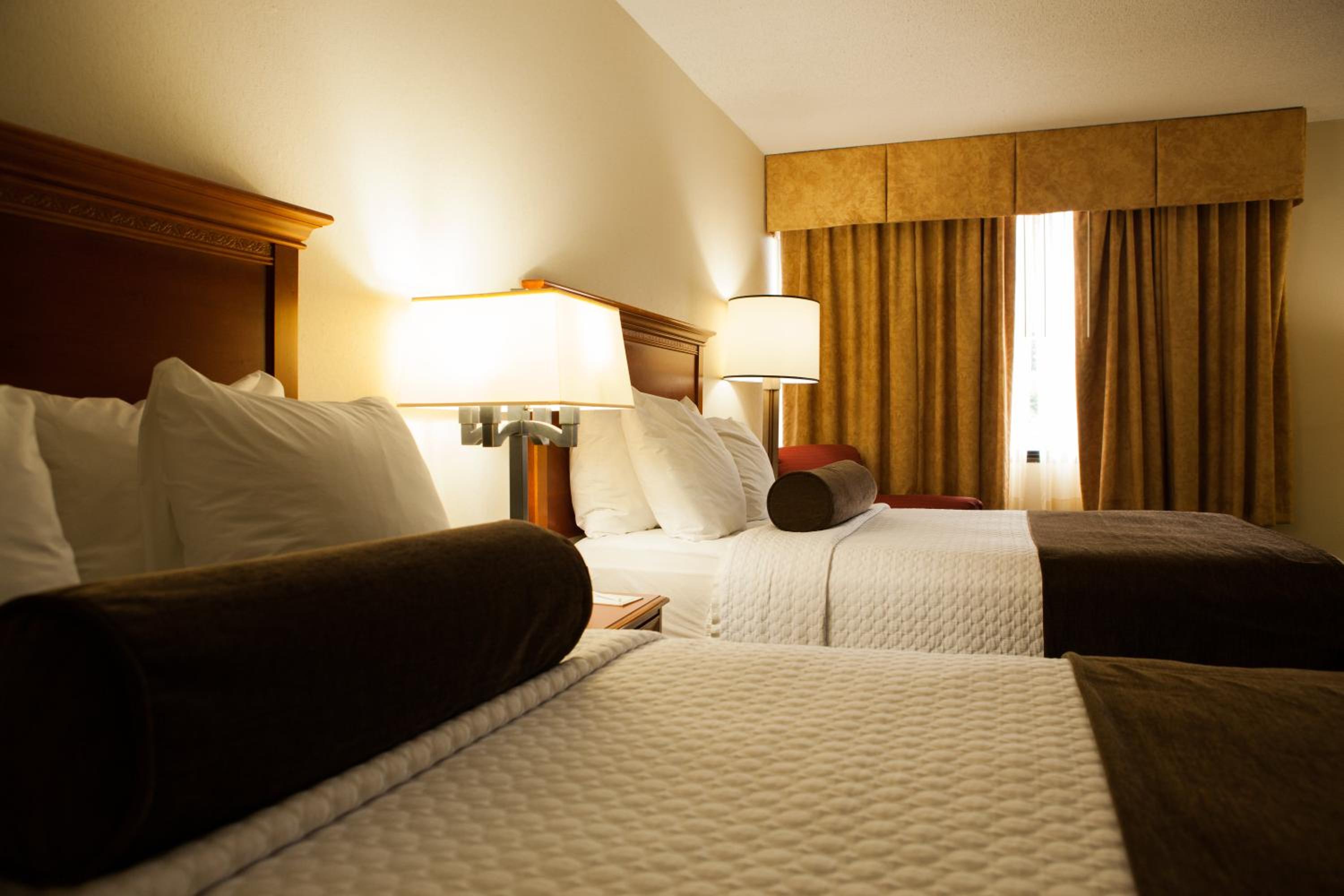 Standard Double Room with Two Double Beds photo 1
