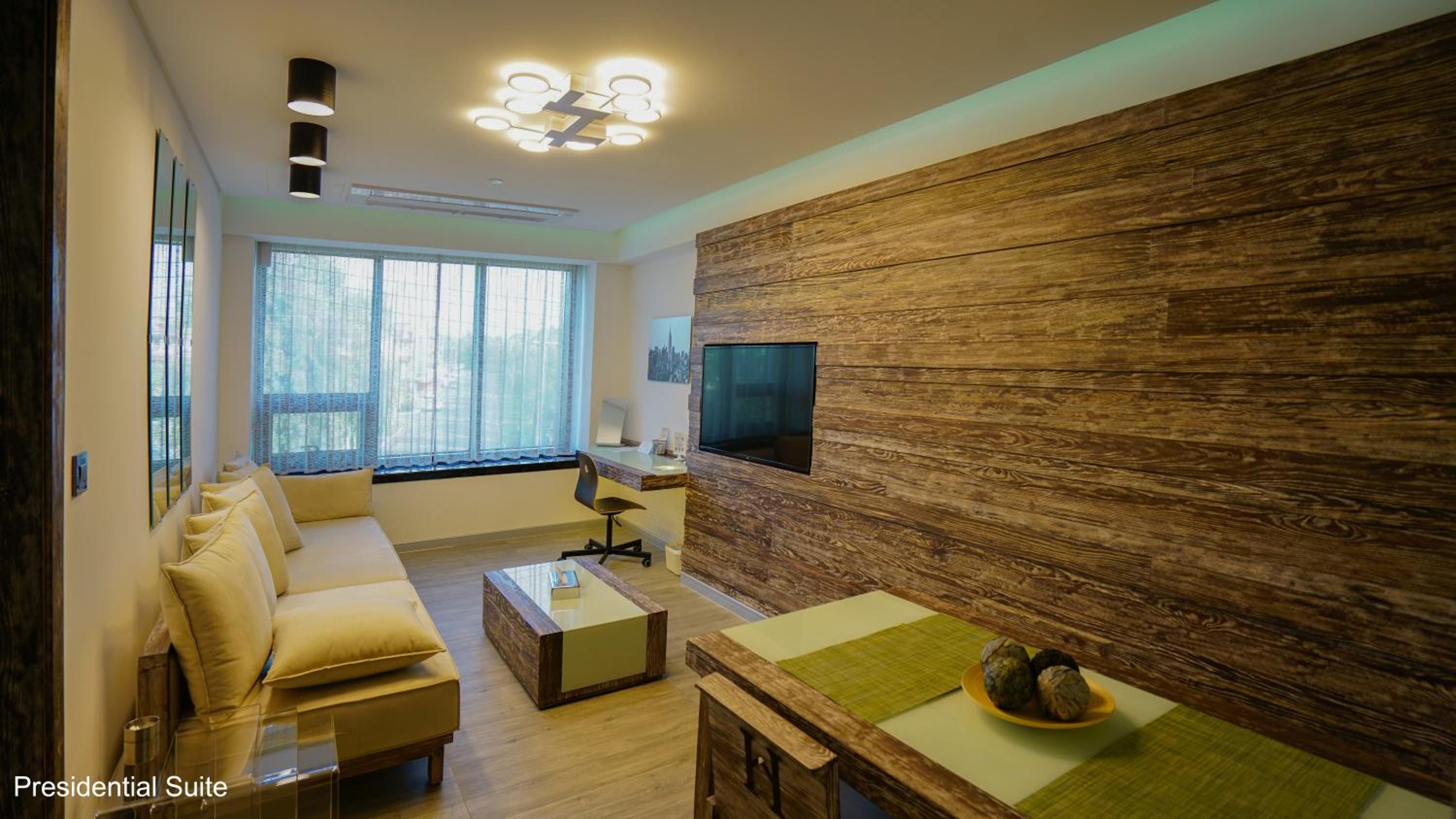Presidential Suite photo 3