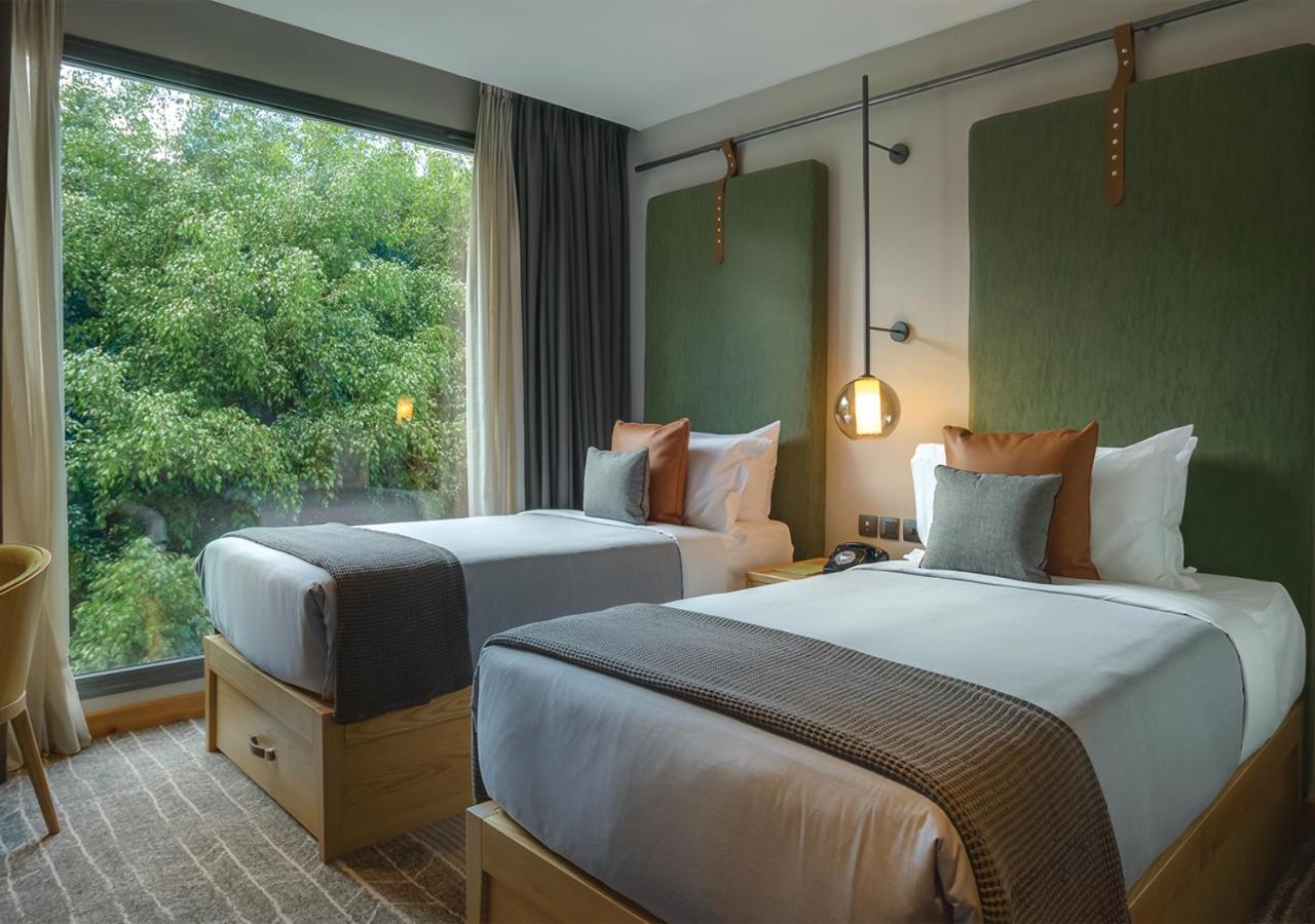 Standard Twin Room - Photo 7
