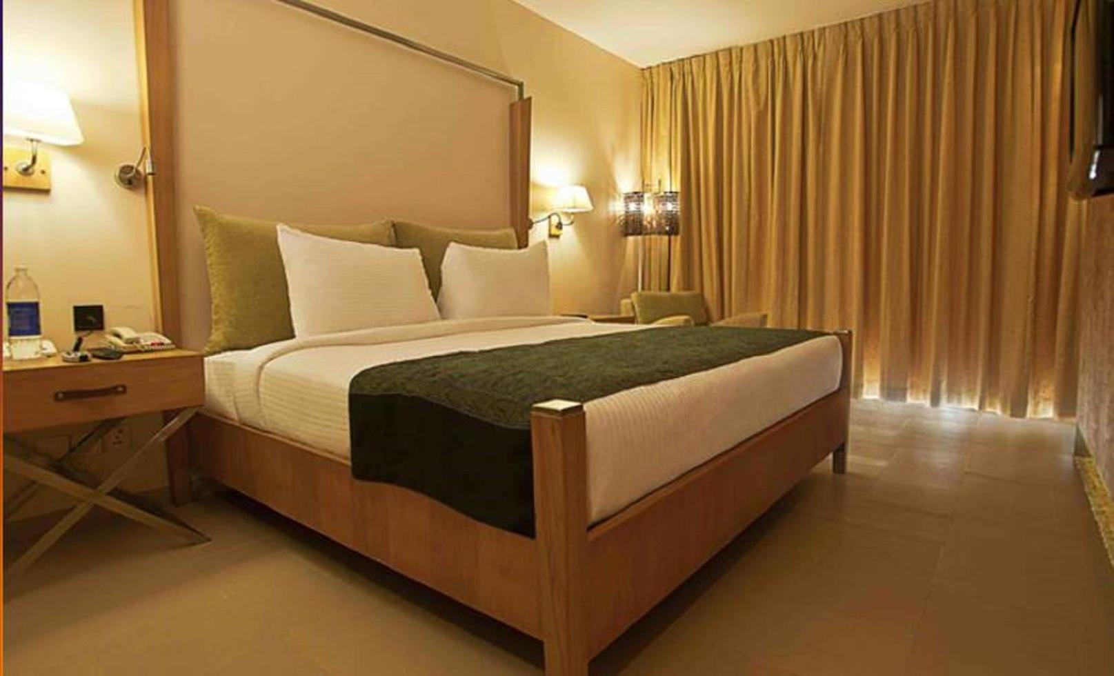 Executive King Room - Photo 7