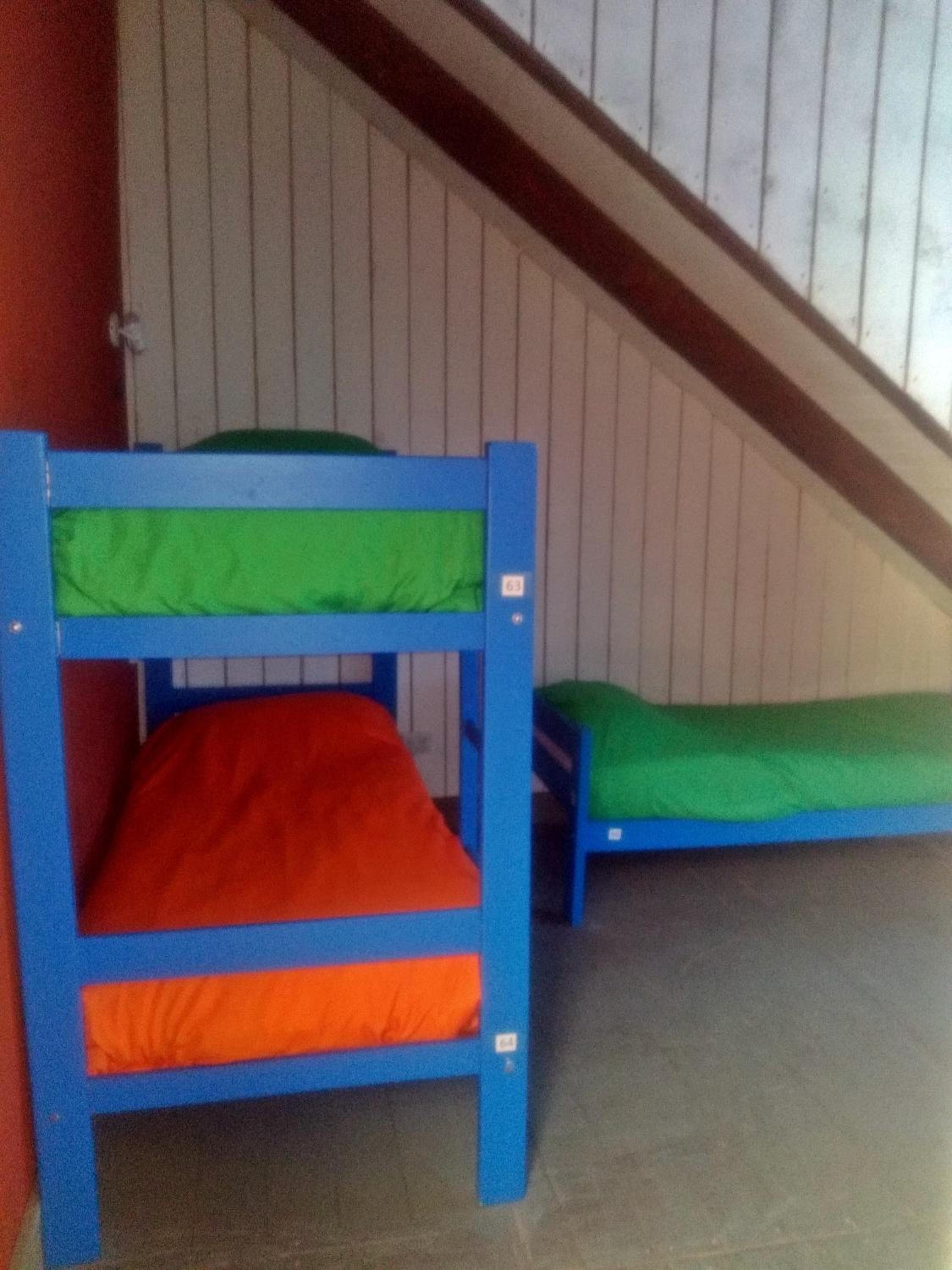 Bed in 6-Bed Dormitory Room