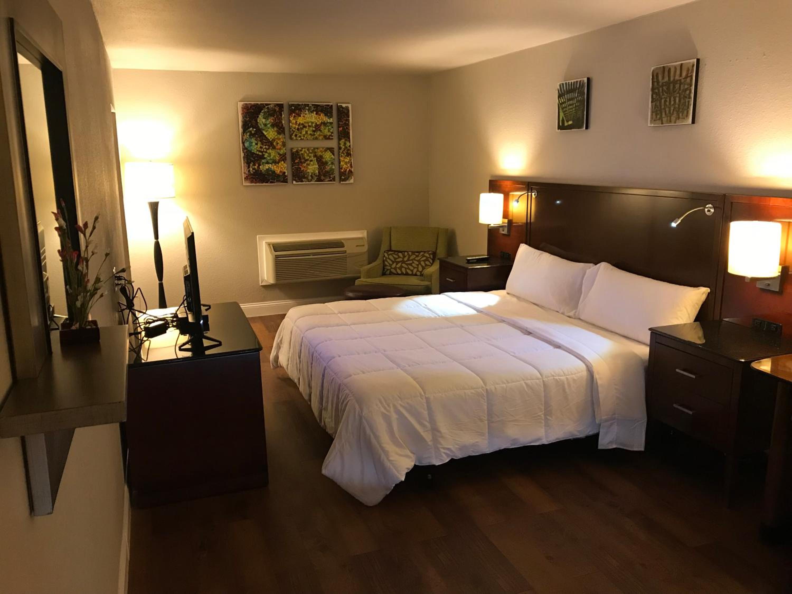 King Suite - Photo 1