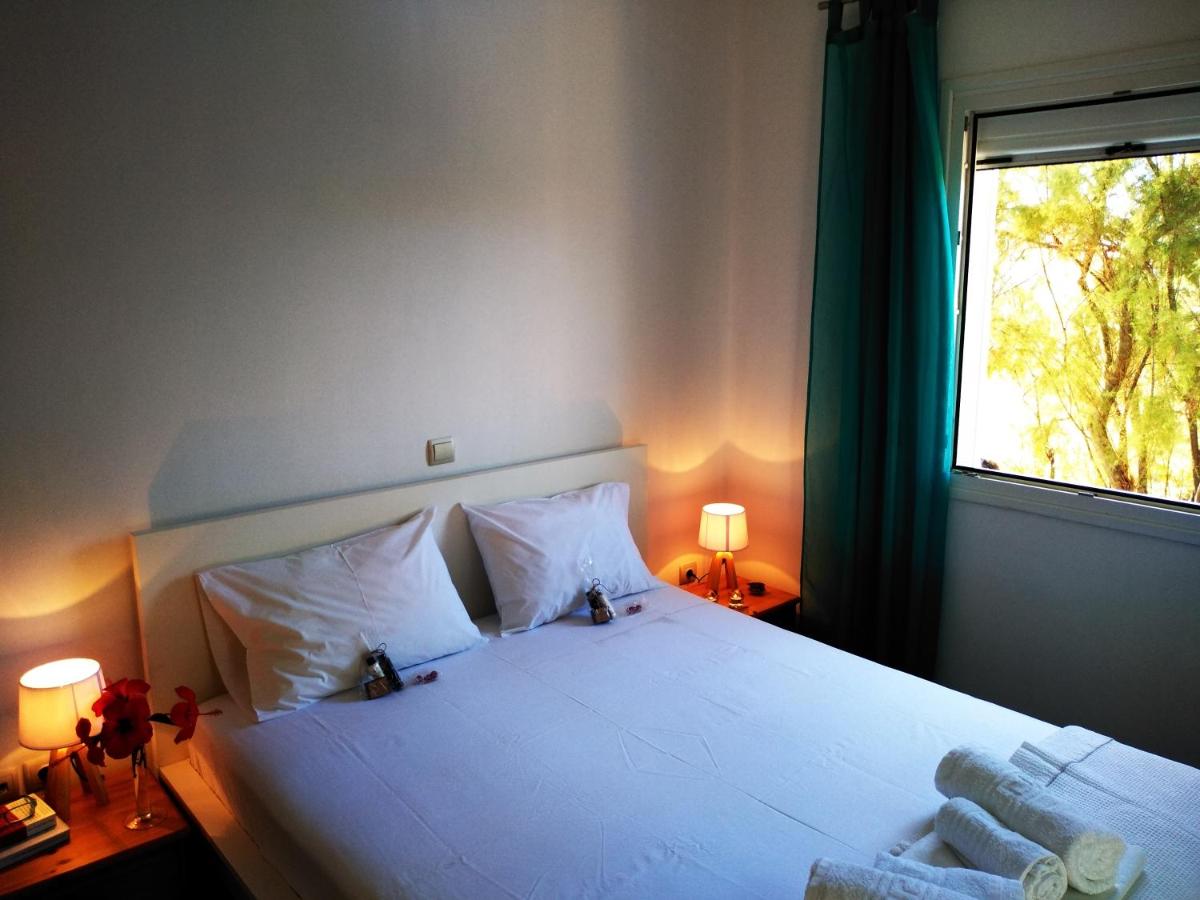 One-Bedroom House photo 2