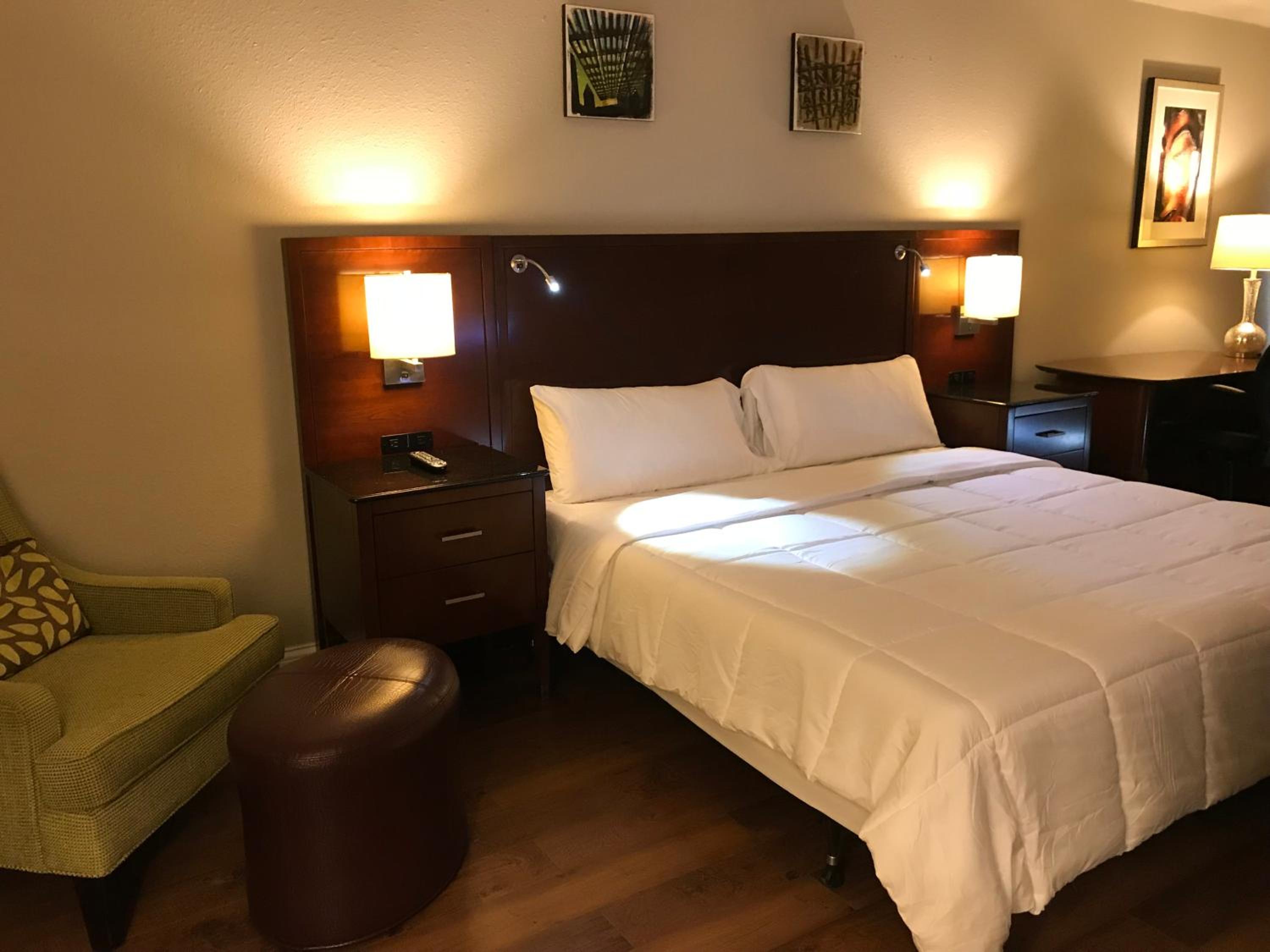 King Suite - Photo 2