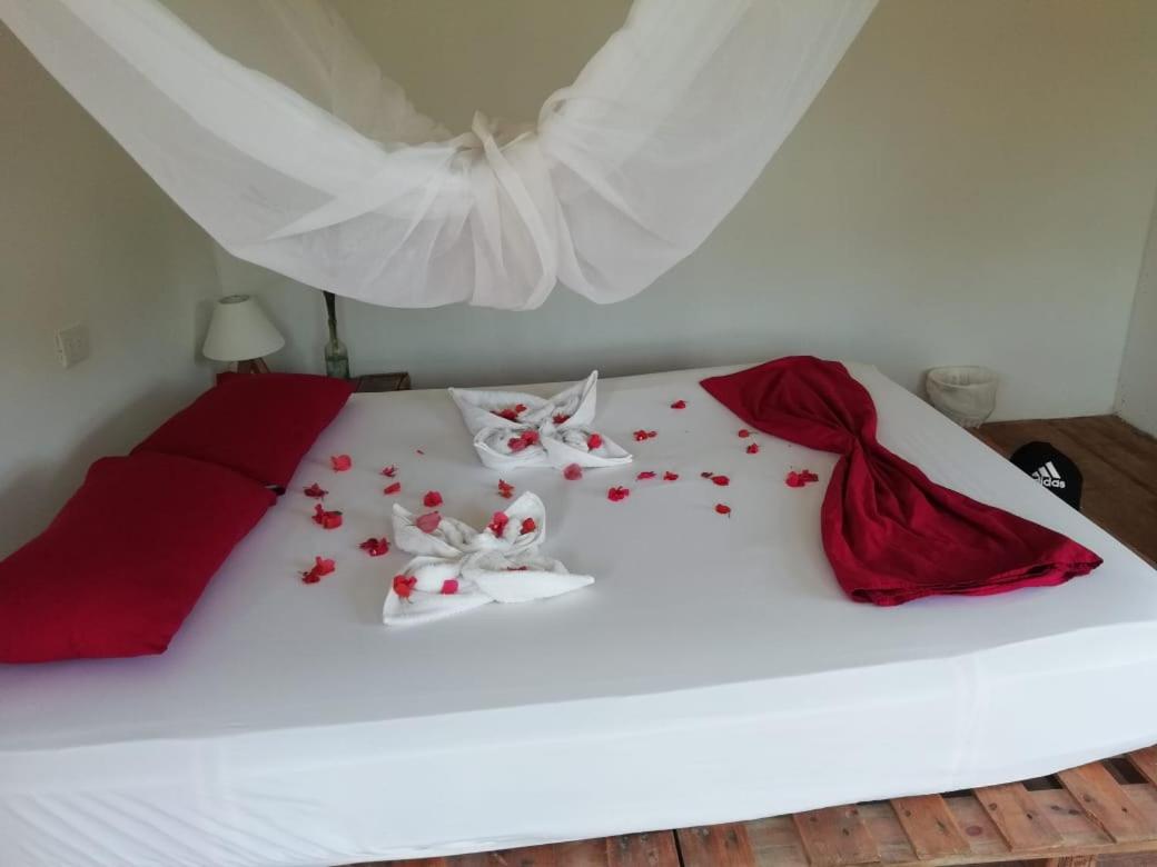 Double Room with Balcony photo 1