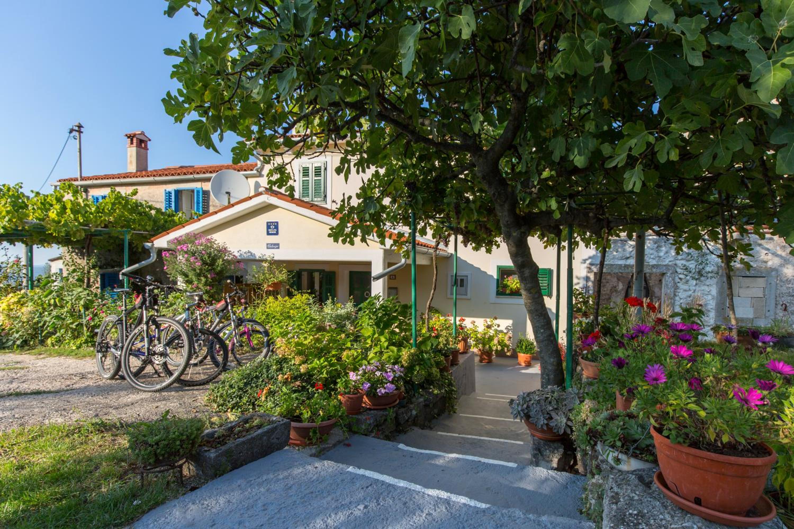 Holiday Home photo 2