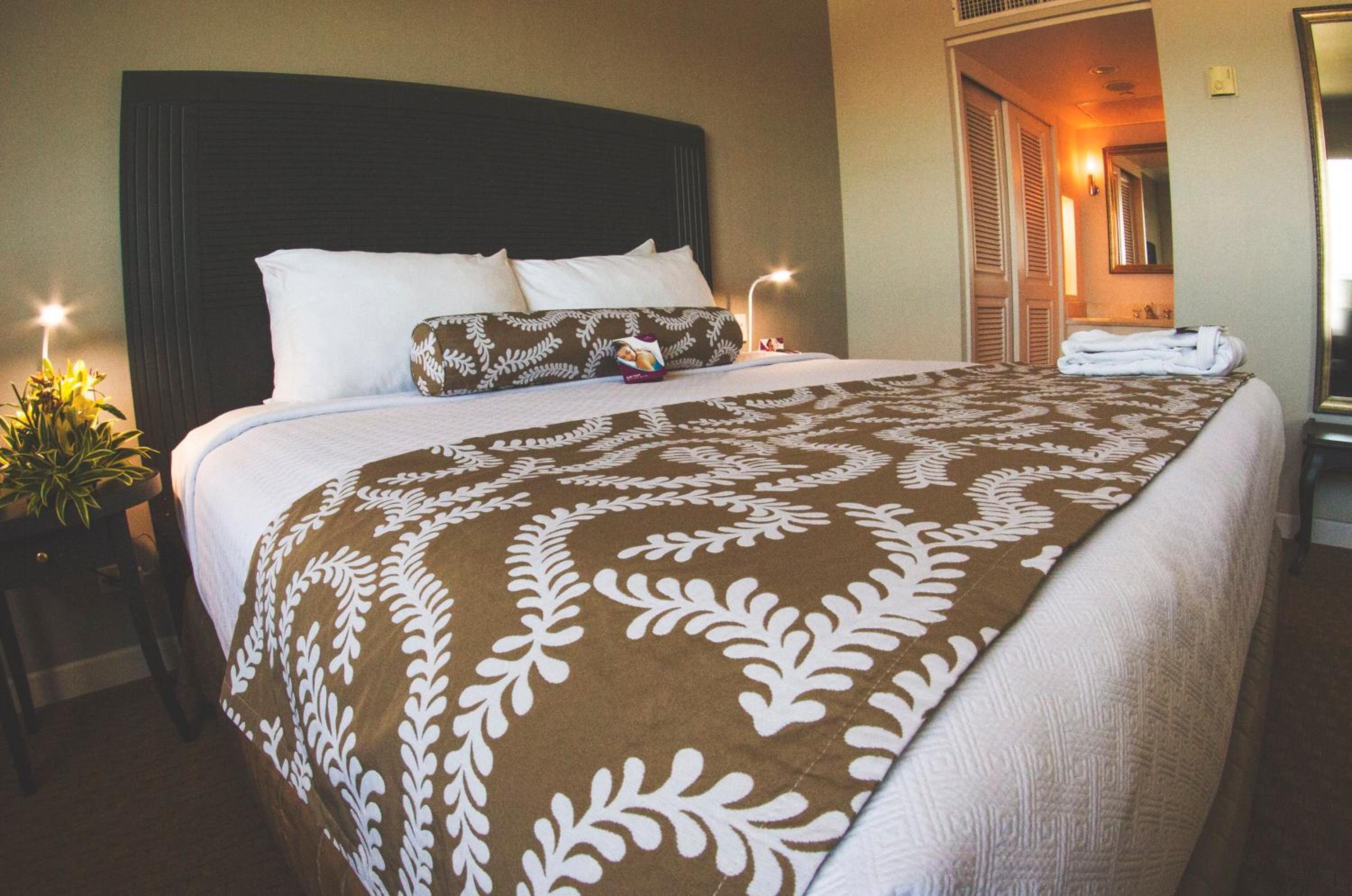 Junior King Suite with Lake View - Photo 5