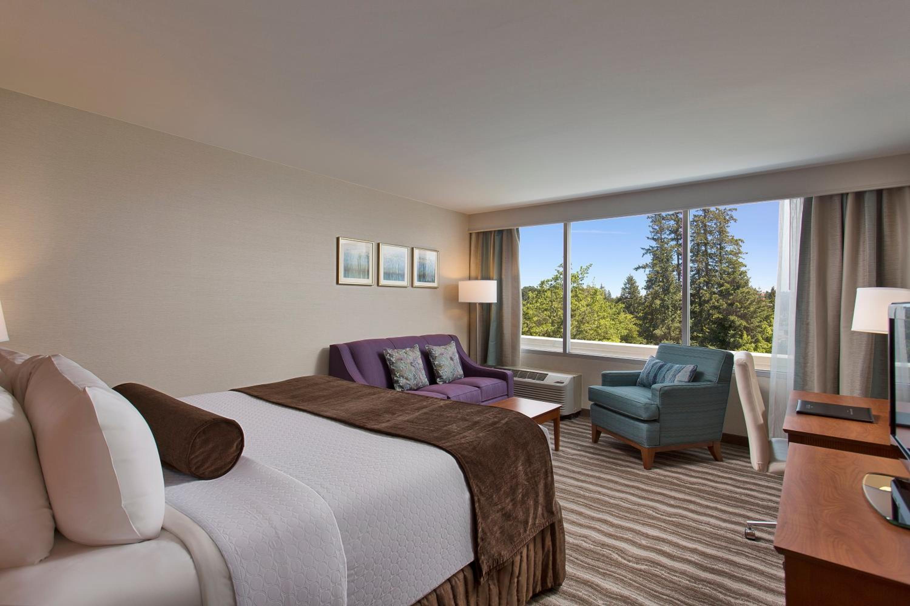 Standard King Room With Sofa Bed - Photo 1