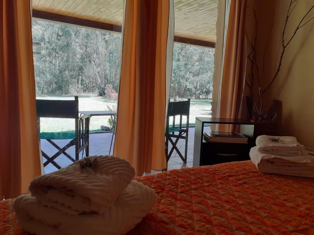 Suite with Private Bathroom photo 1