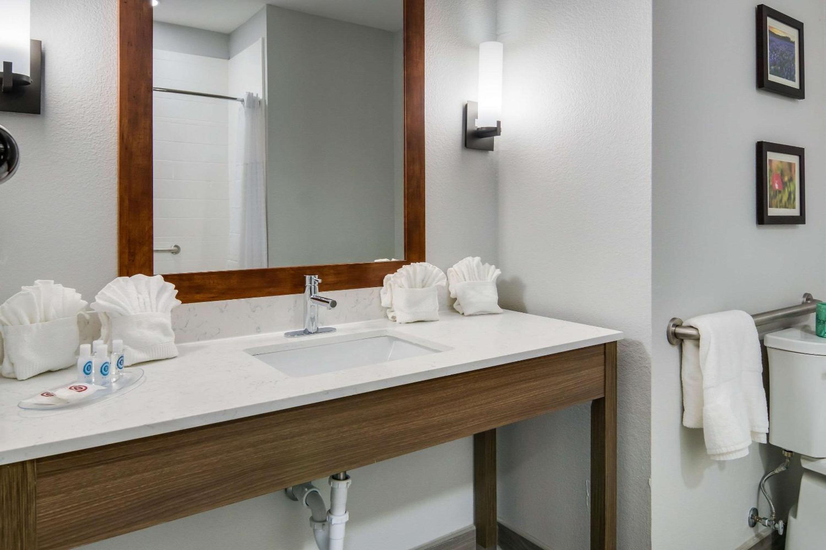 King Suite - Accessible/Non-Smoking - Photo 17
