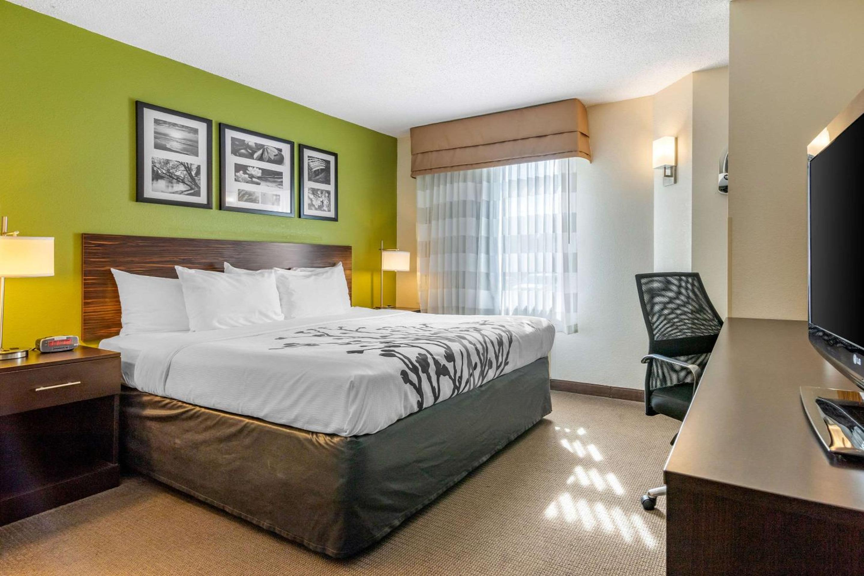 King Room - Accessible/Non-Smoking photo 3
