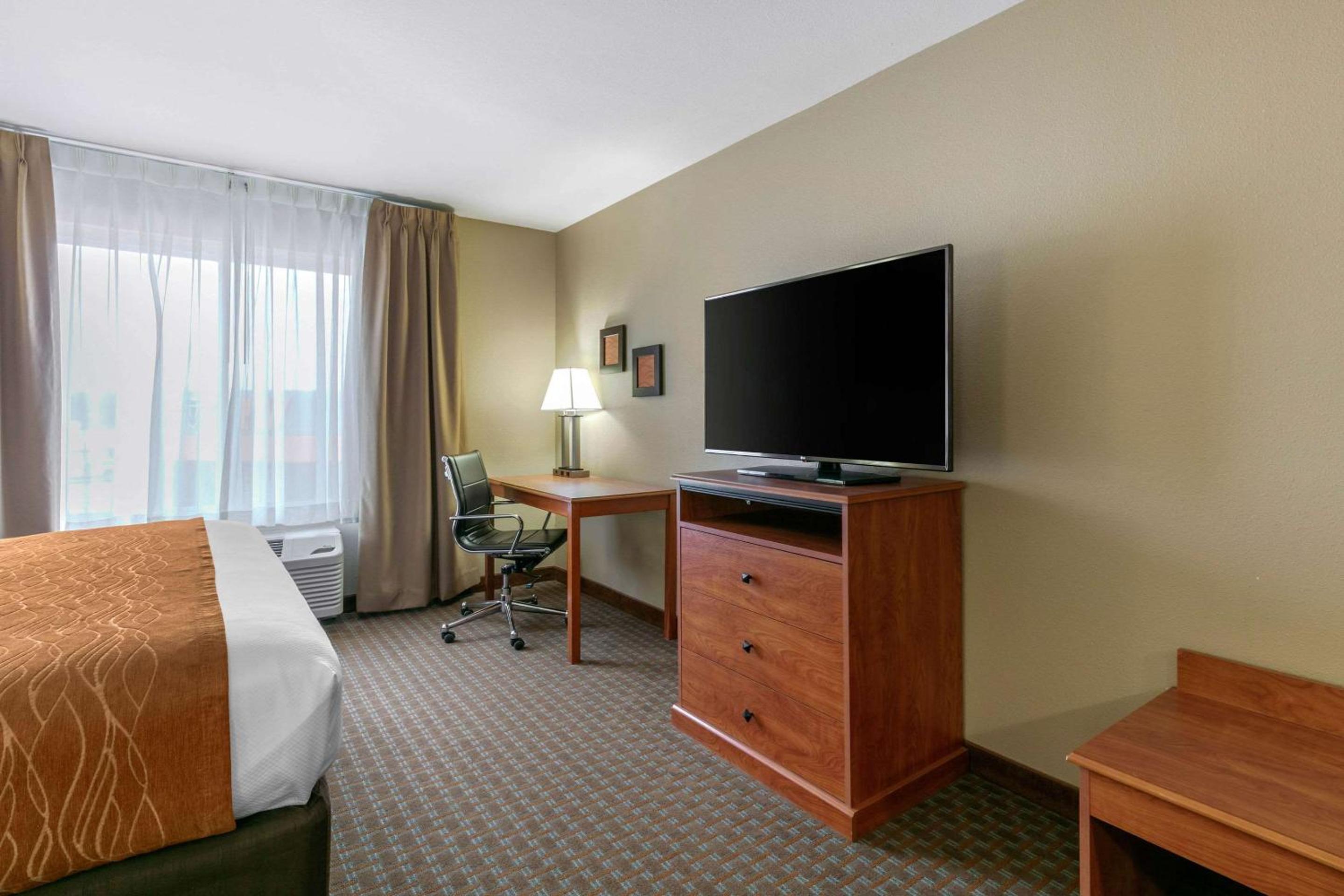 King Room - Non-Smoking - Photo 4
