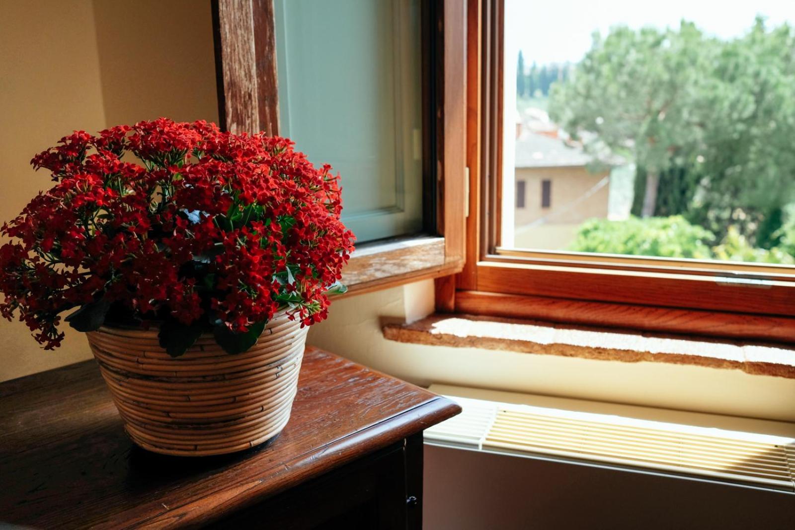 Triple Room - Photo 9