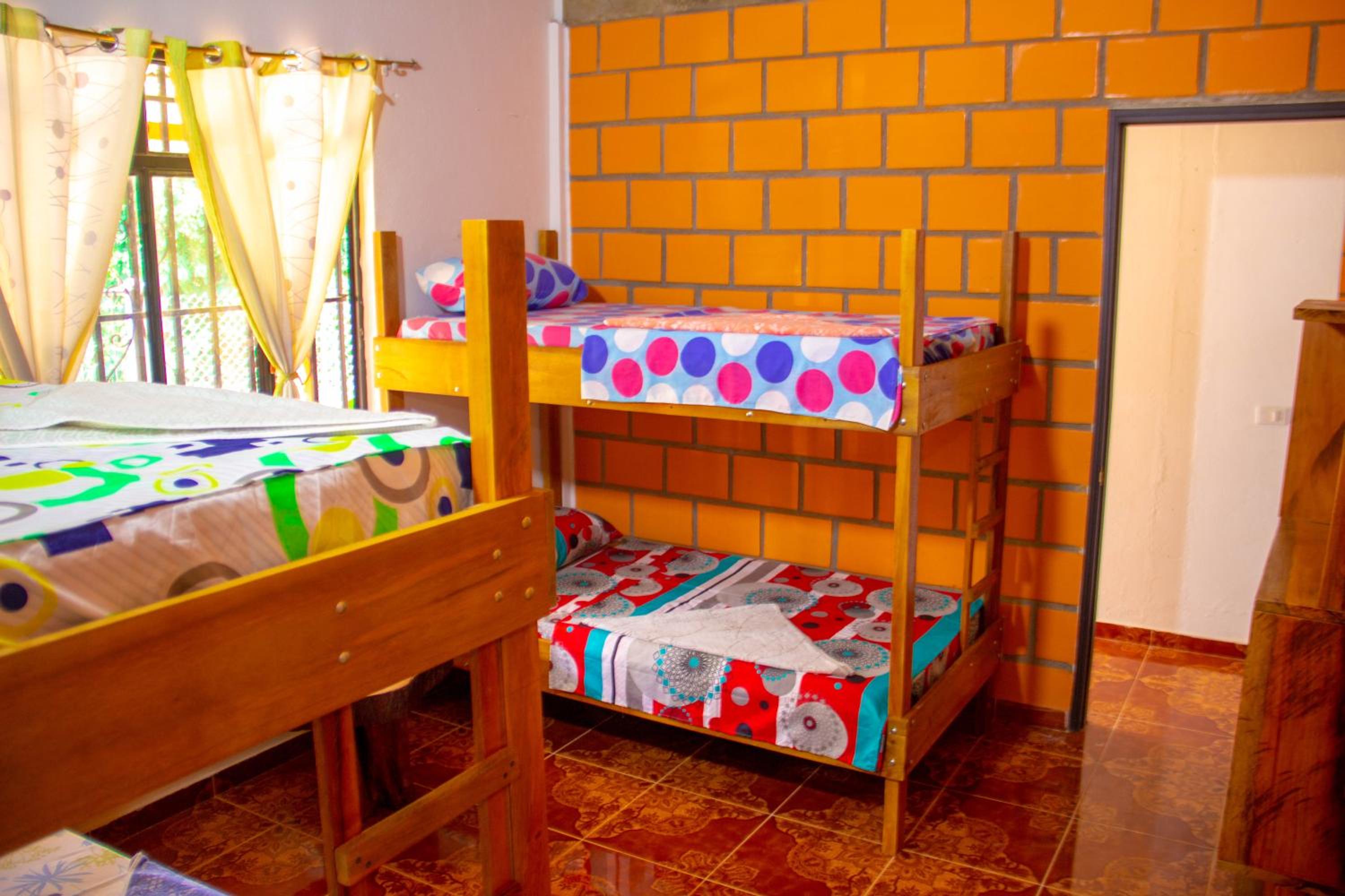 Bed in 4-Bed Dormitory Room photo 2