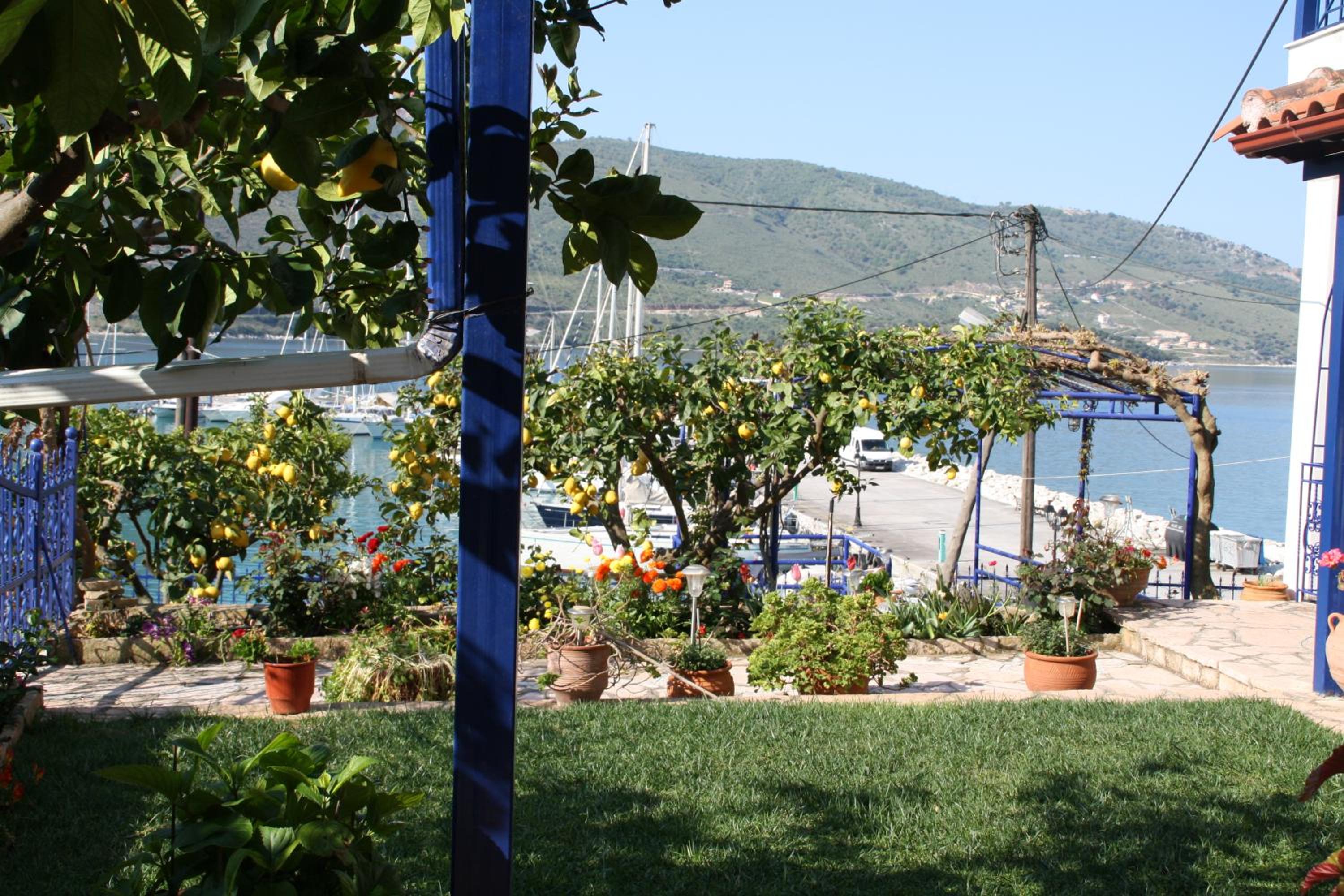 Studio with Garden View - Photo 5