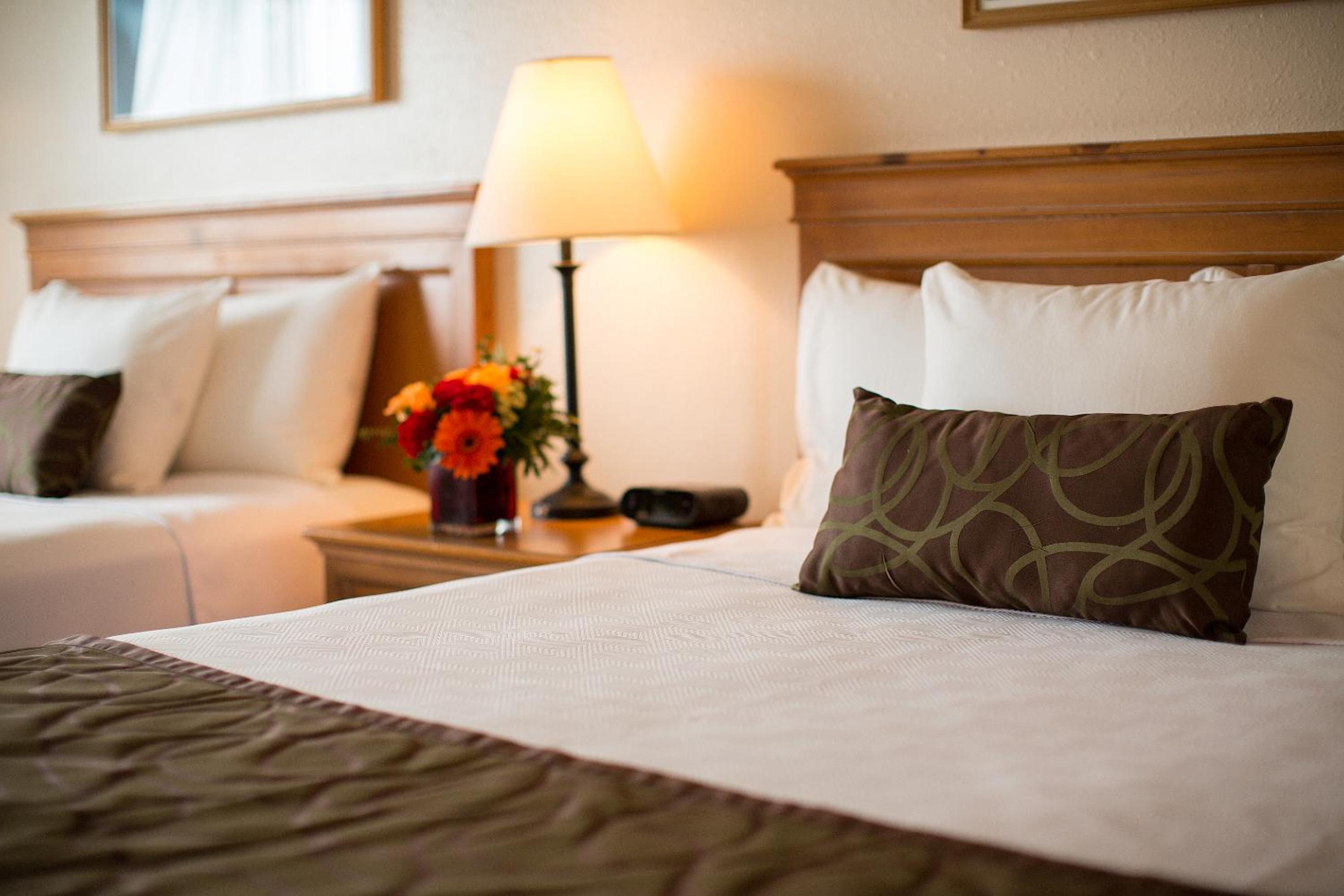 Deluxe Queen Room with Two Queen Beds - Photo 1