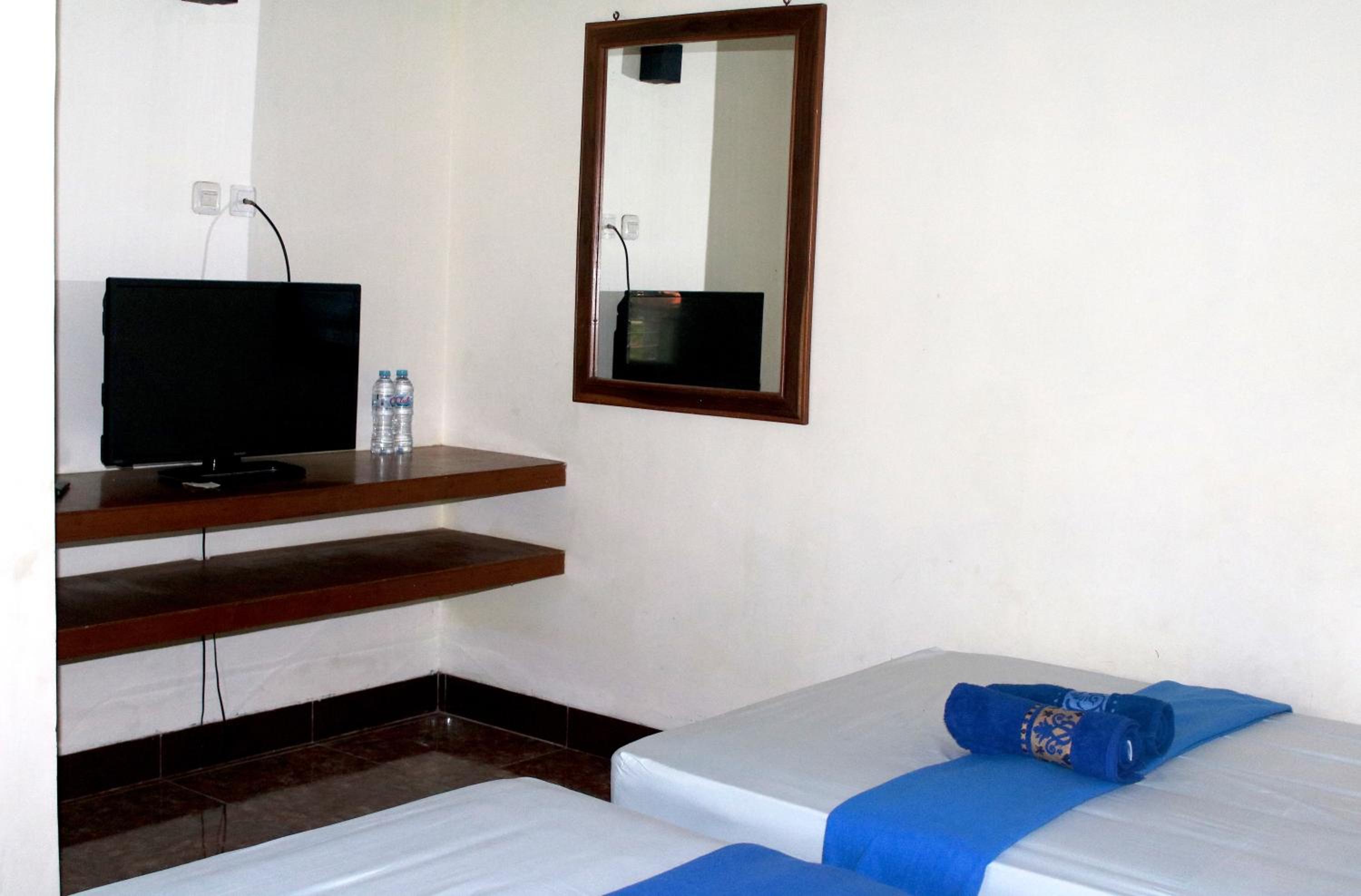 Large Twin Room photo 1