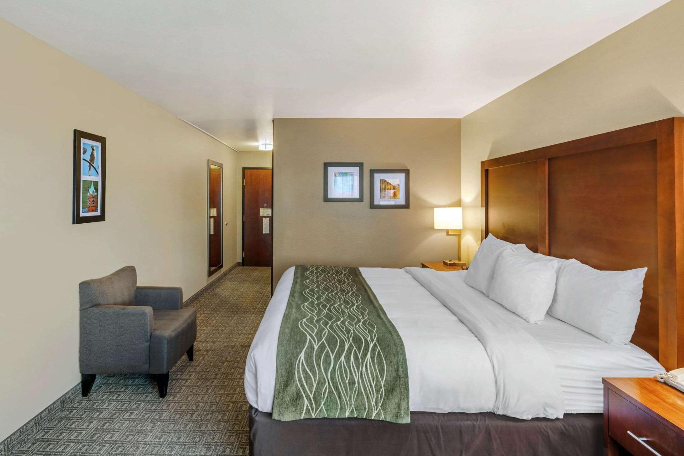 King Room - Accessible/Non-Smoking - Photo 4