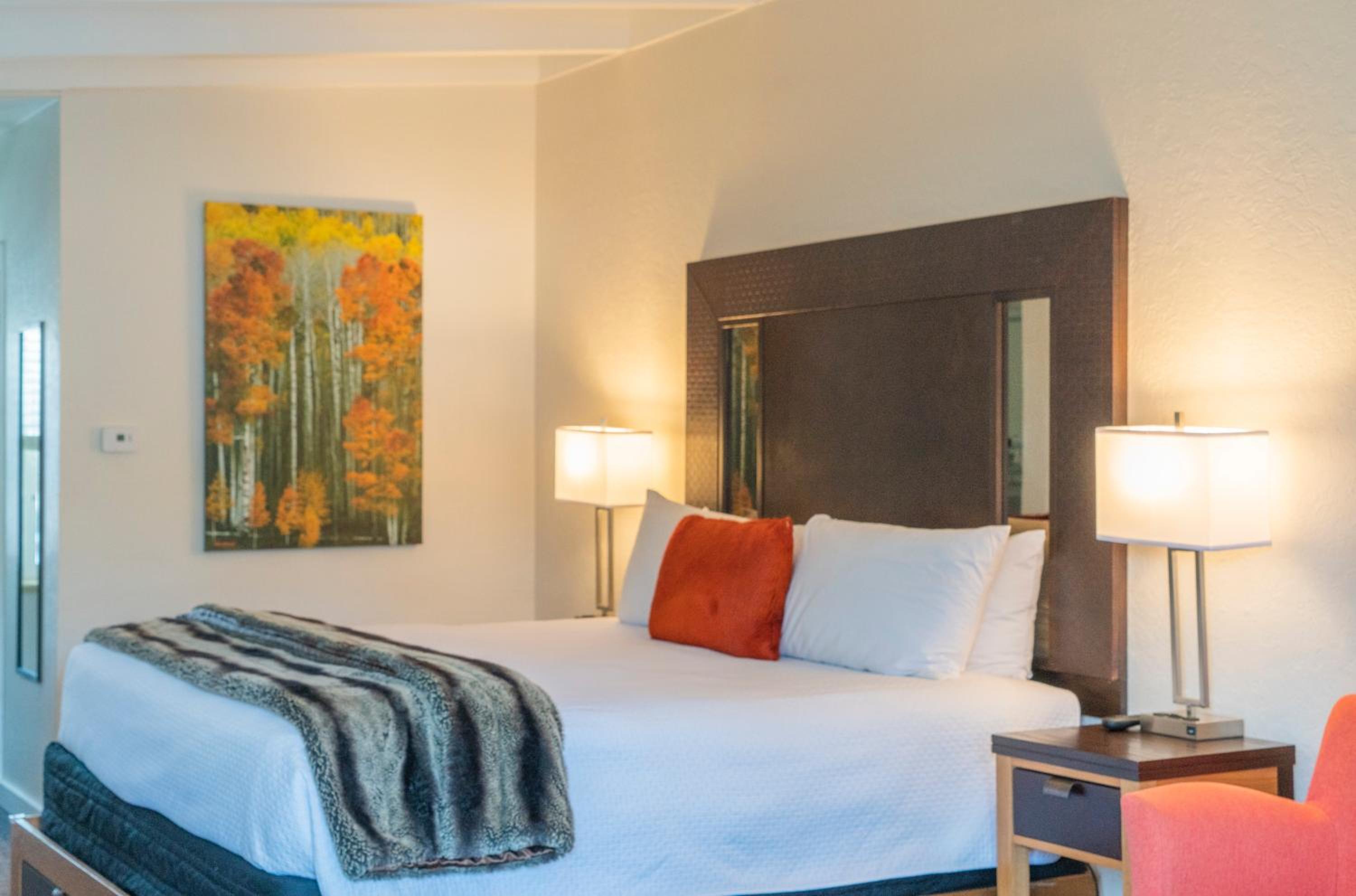Deluxe King Suite