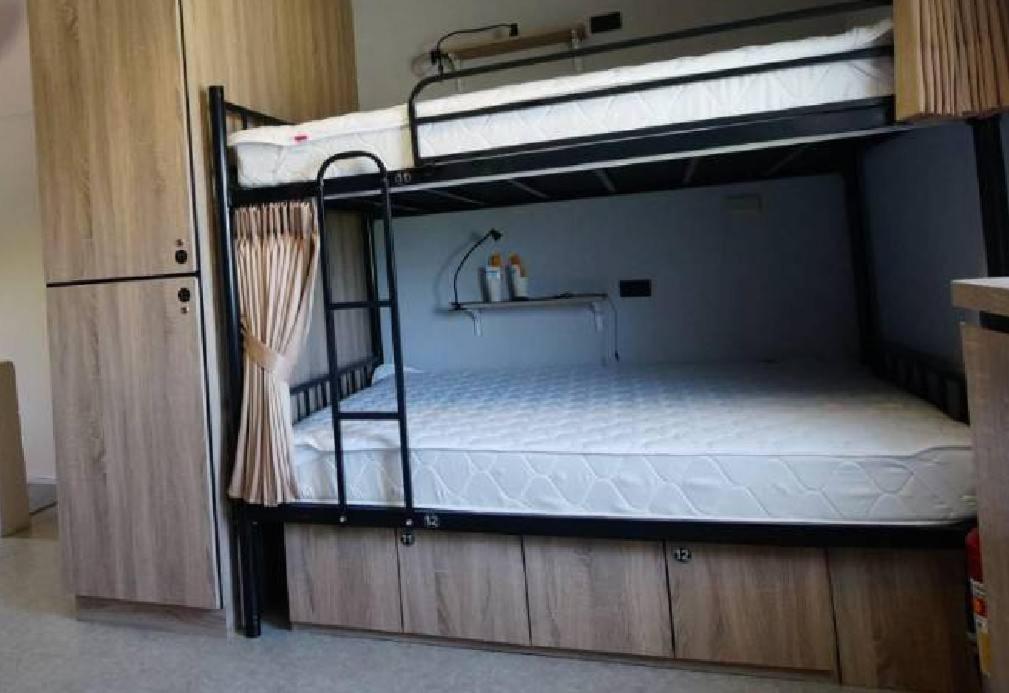 Bunk Bed in Mixed Dormitory Room photo 3