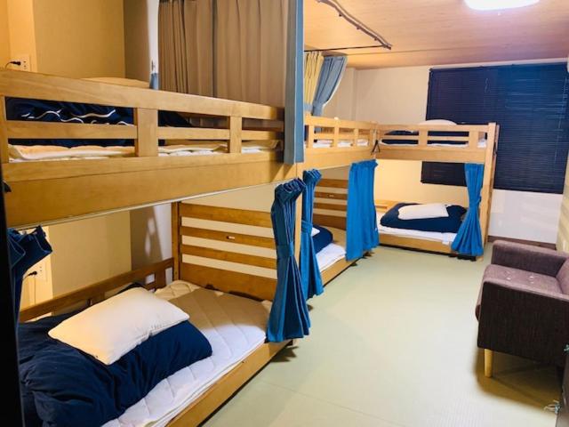 Bunk Bed in Mixed Dormitory Room photo 1