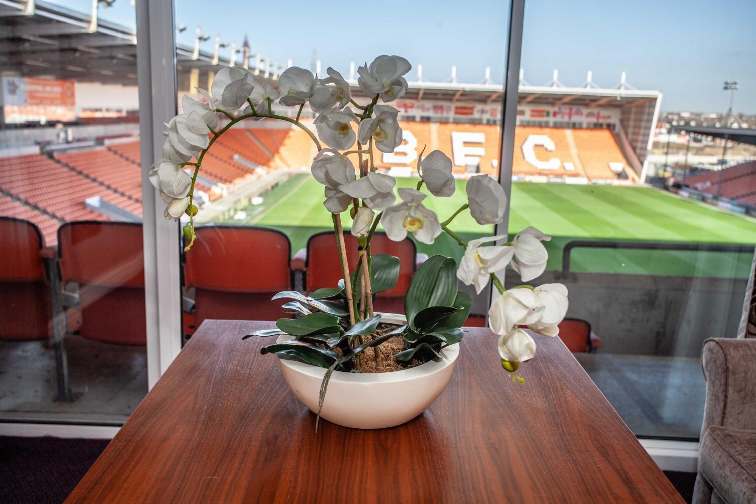 Superior Room with Pitch View photo 3