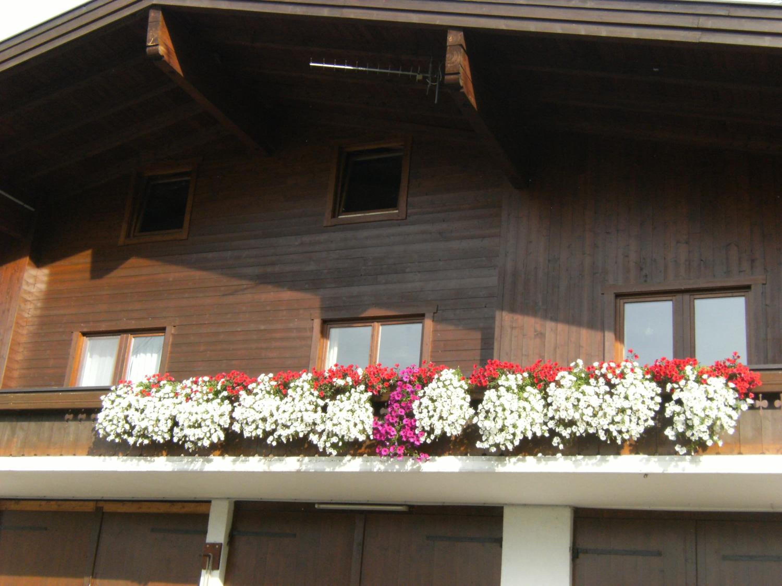 Two-Bedroom Chalet photo 2