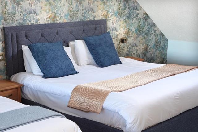 Suite - Photo 1