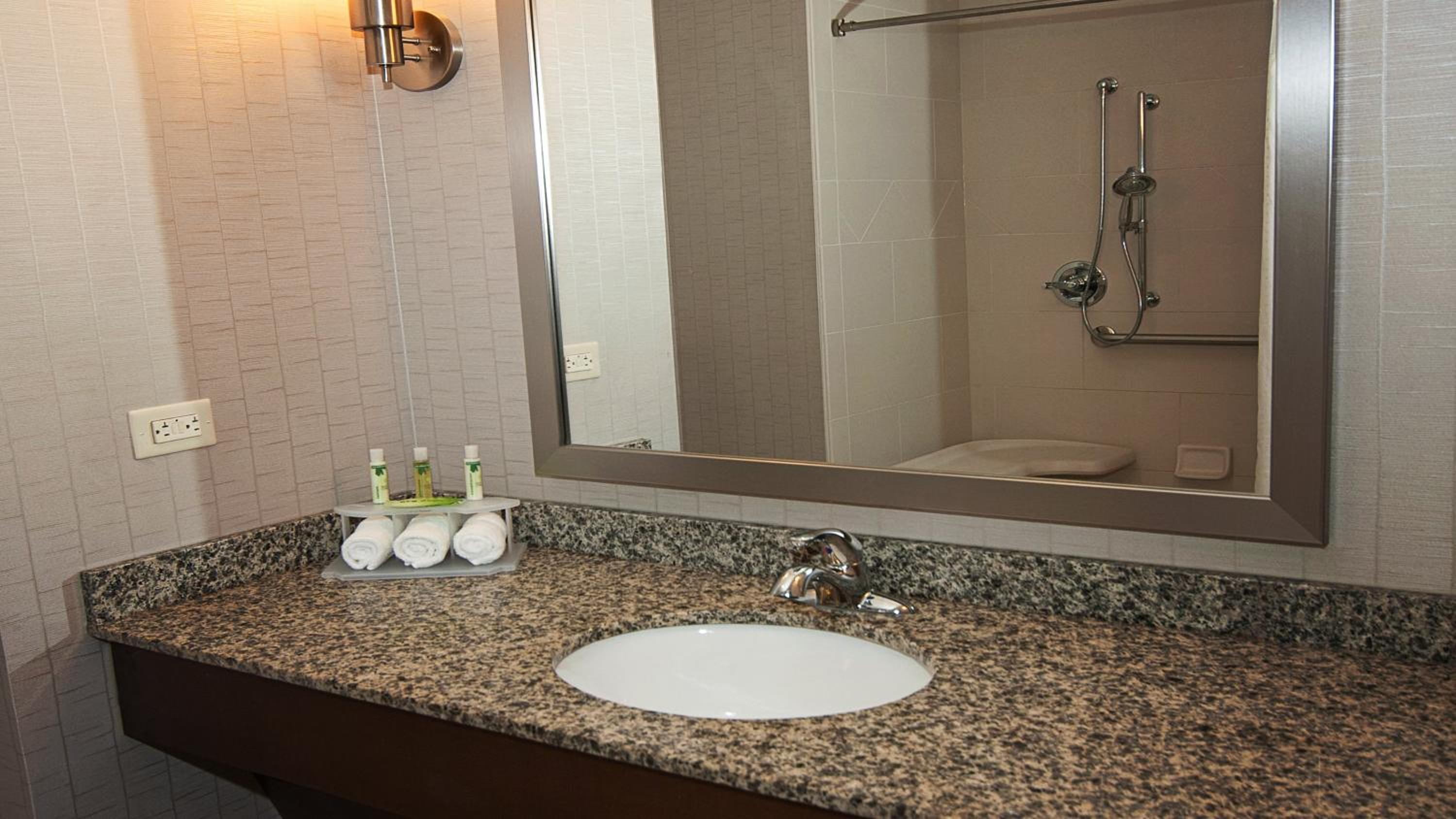 Standard King Room with Mobility Accessible Roll-In Shower photo 3