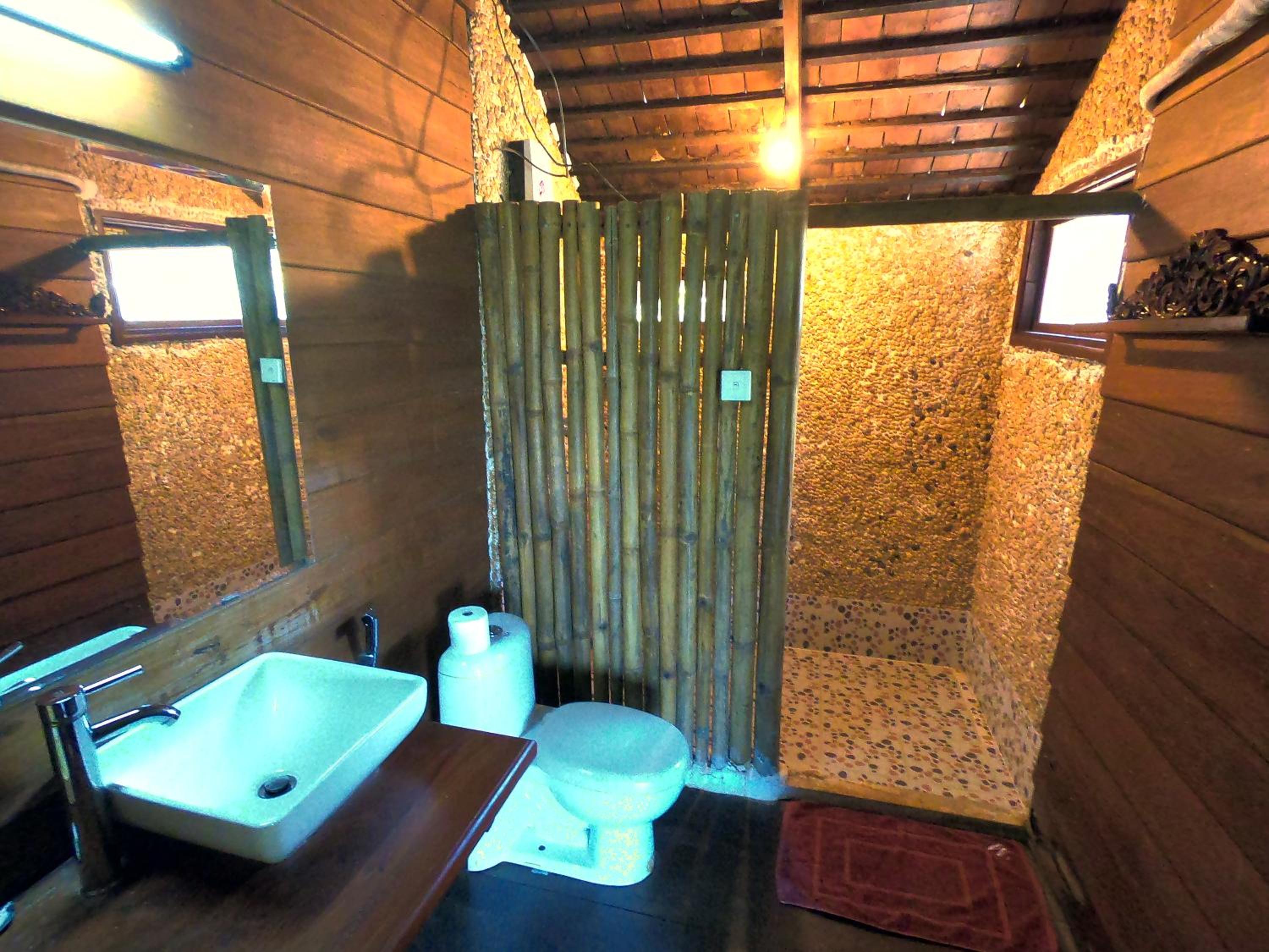 Deluxe Double or Twin Room photo 3
