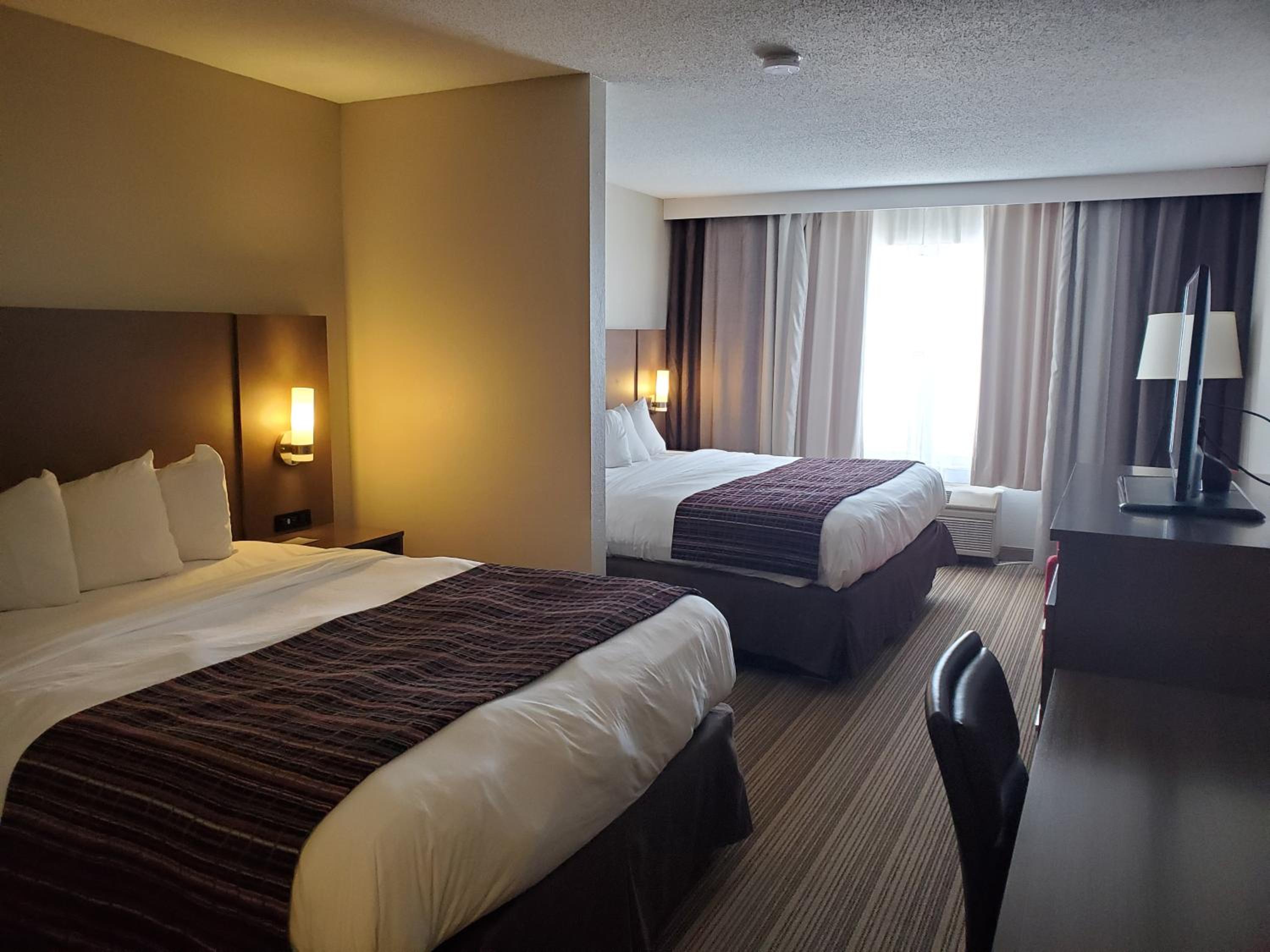 Studio Suite with Two King Beds - Non-Smoking - Photo 1