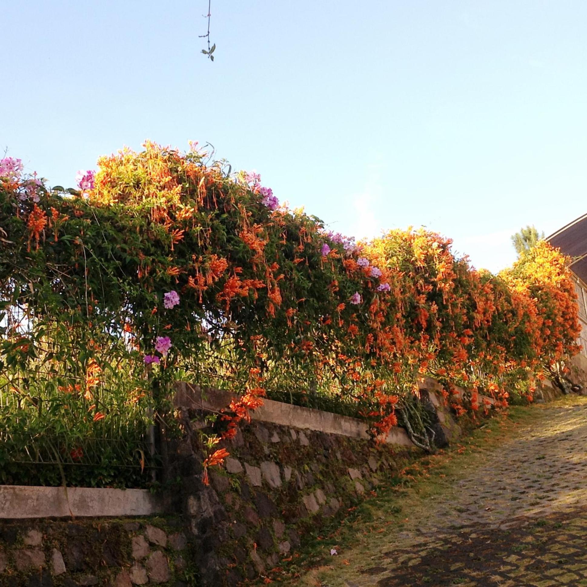 Villa - Photo 13