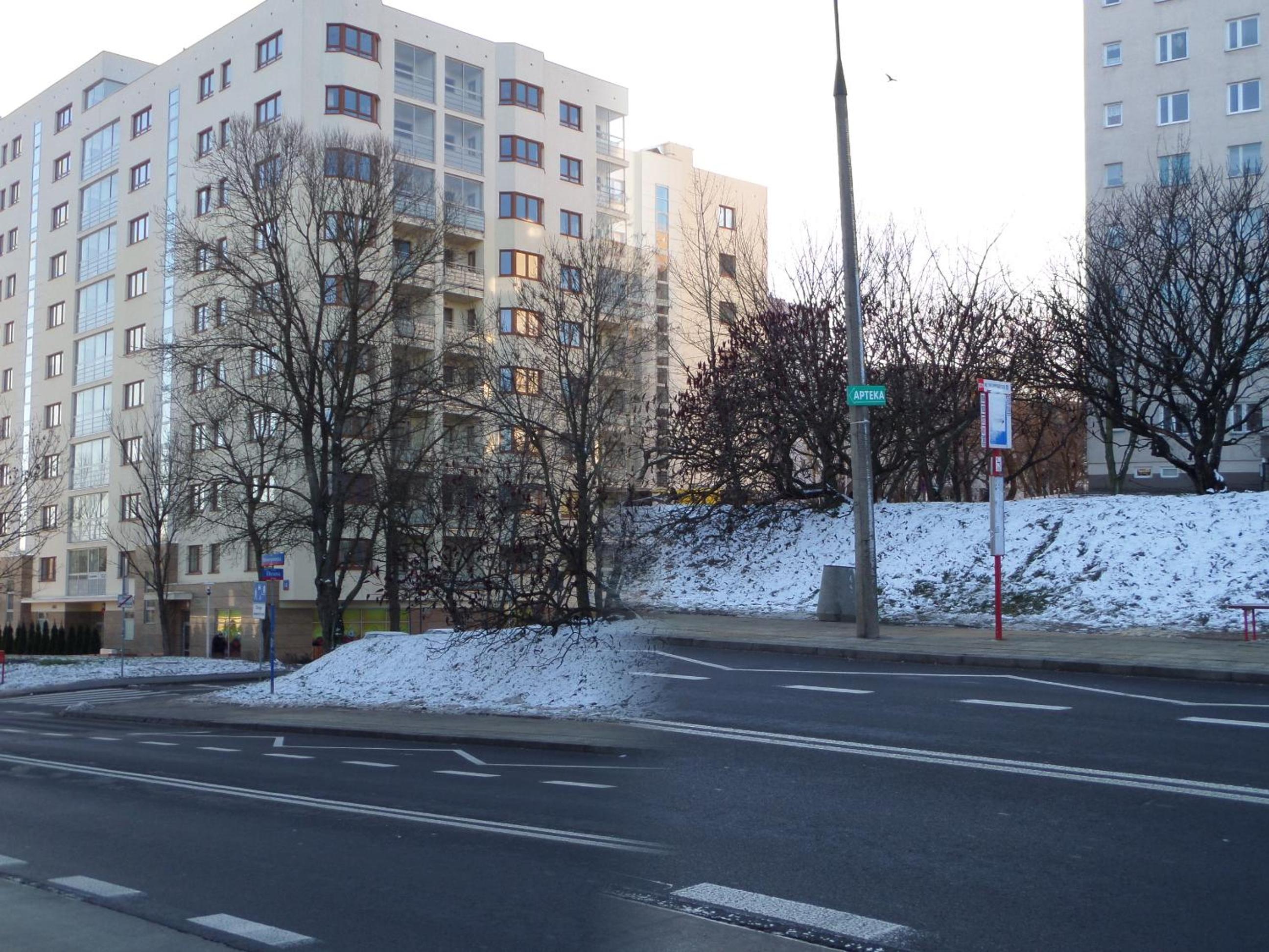 Apartment - Photo 13
