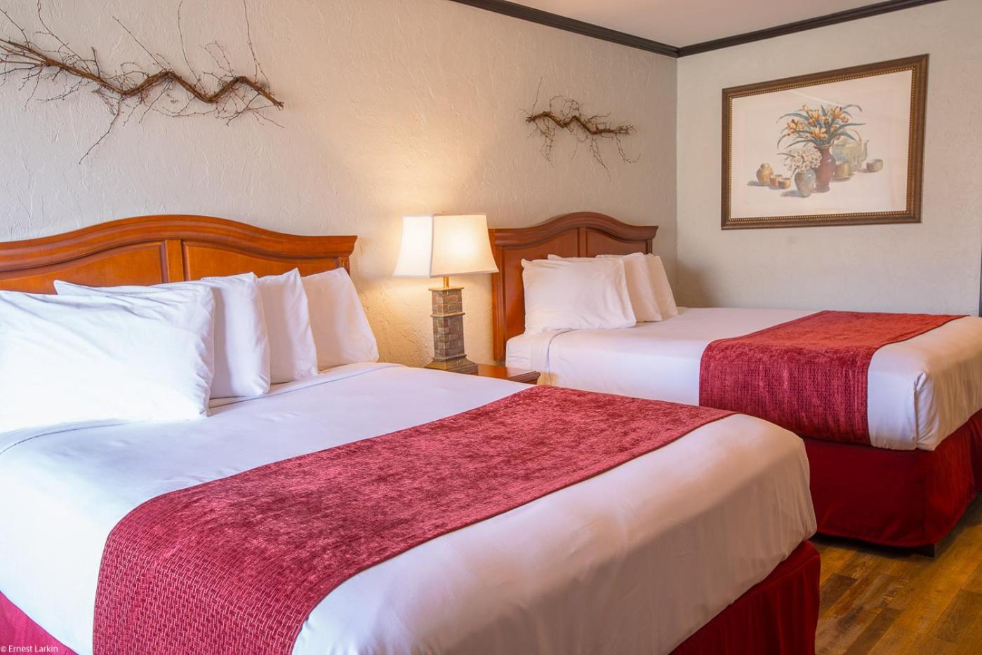 Double Room with Pool View photo 3