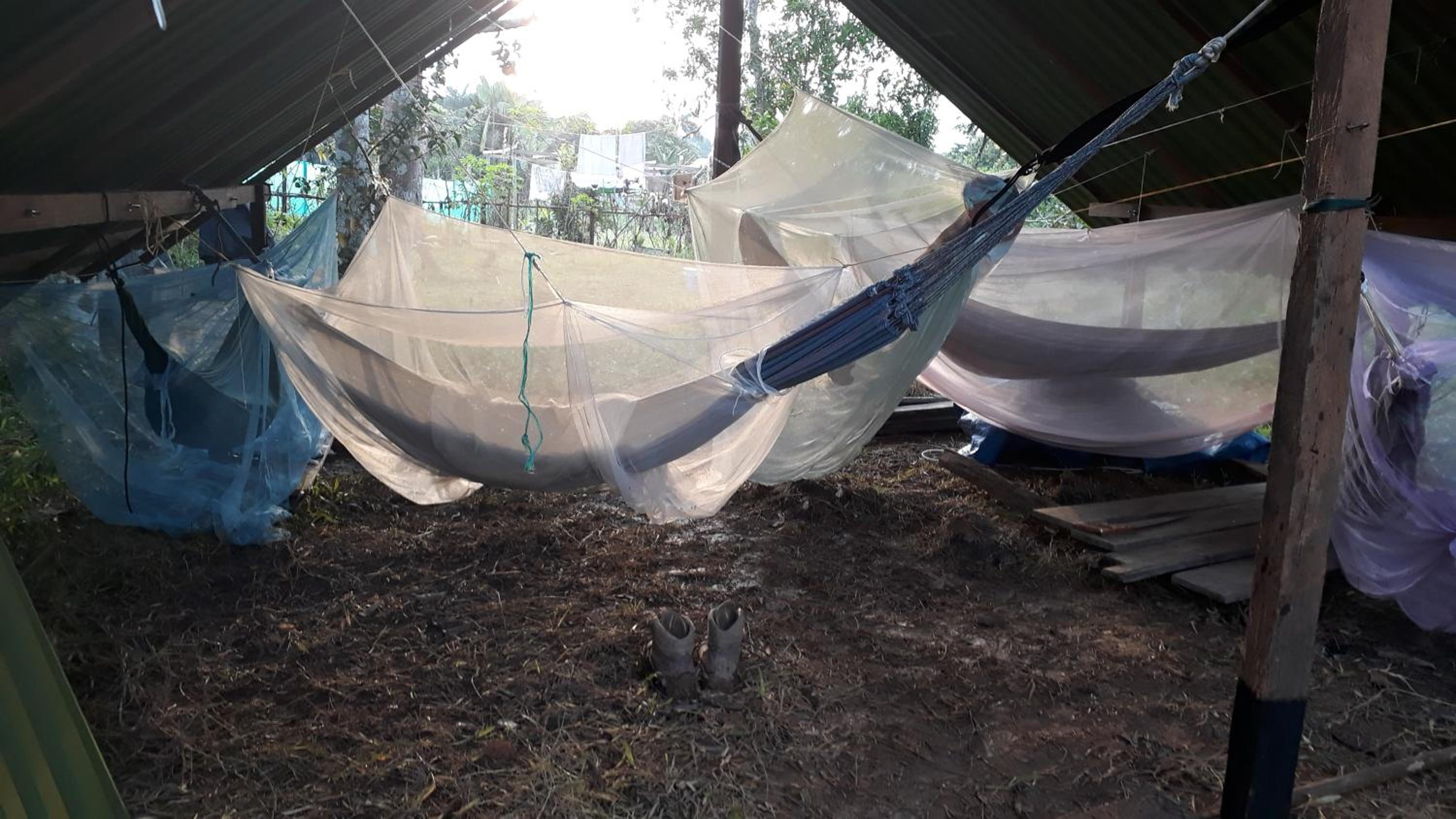 Hammock in Mixed Dormitory Room photo 3