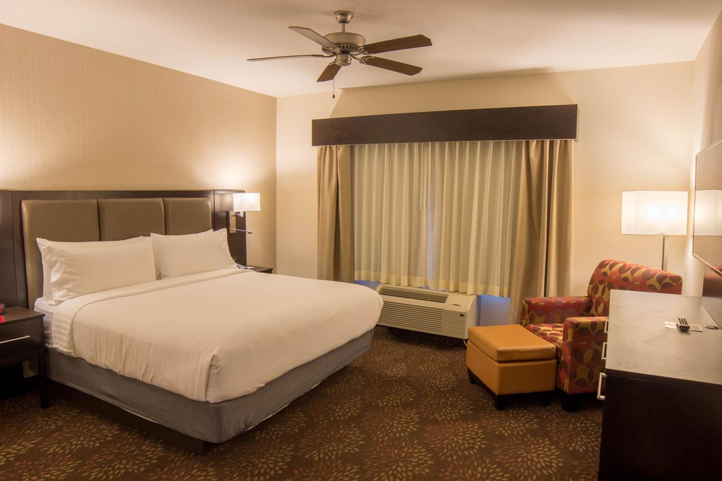 King Suite photo 1
