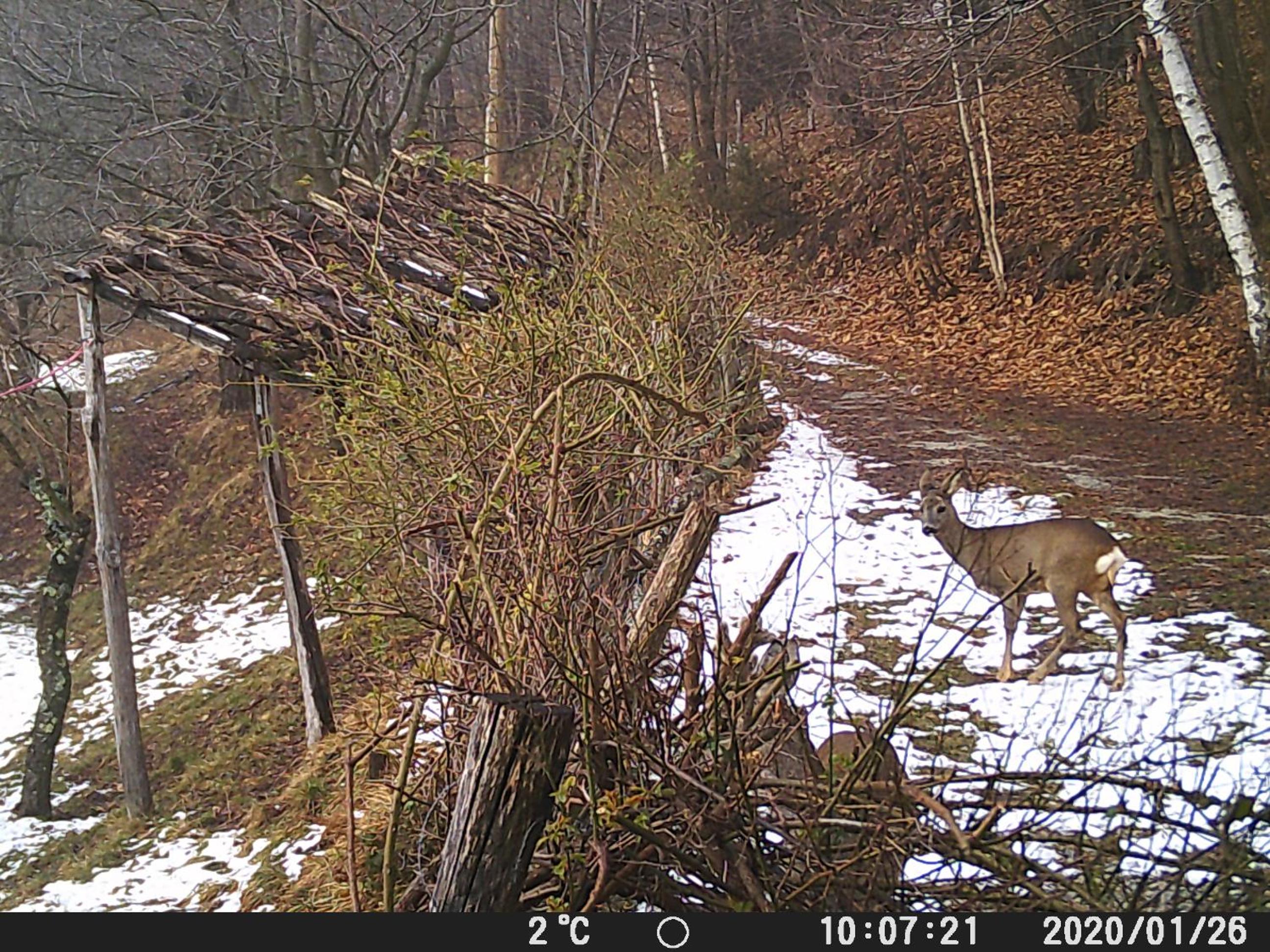 Vacation Home - Photo 33
