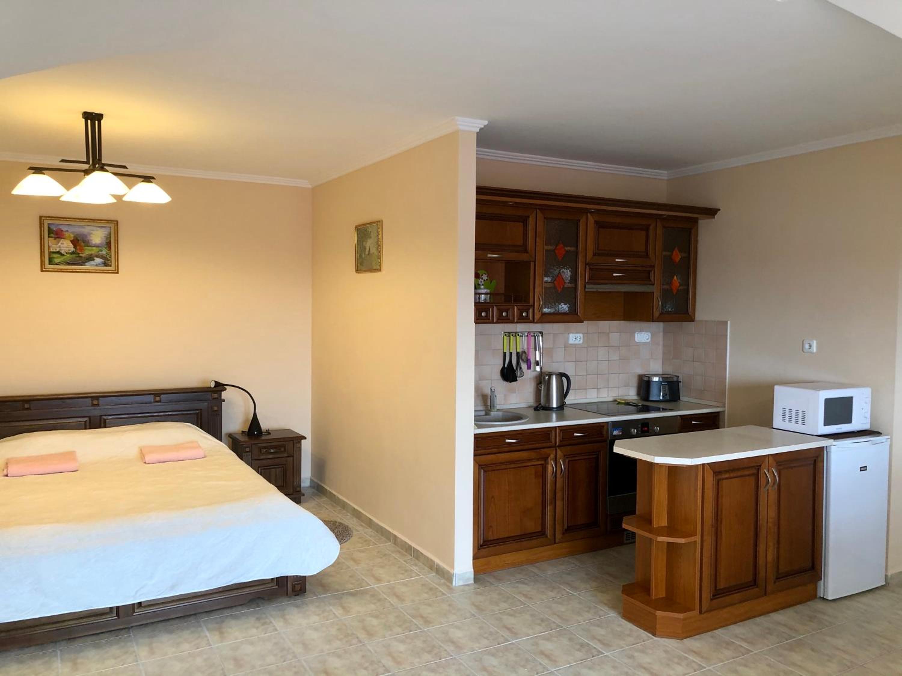 Studio Apartment photo 3