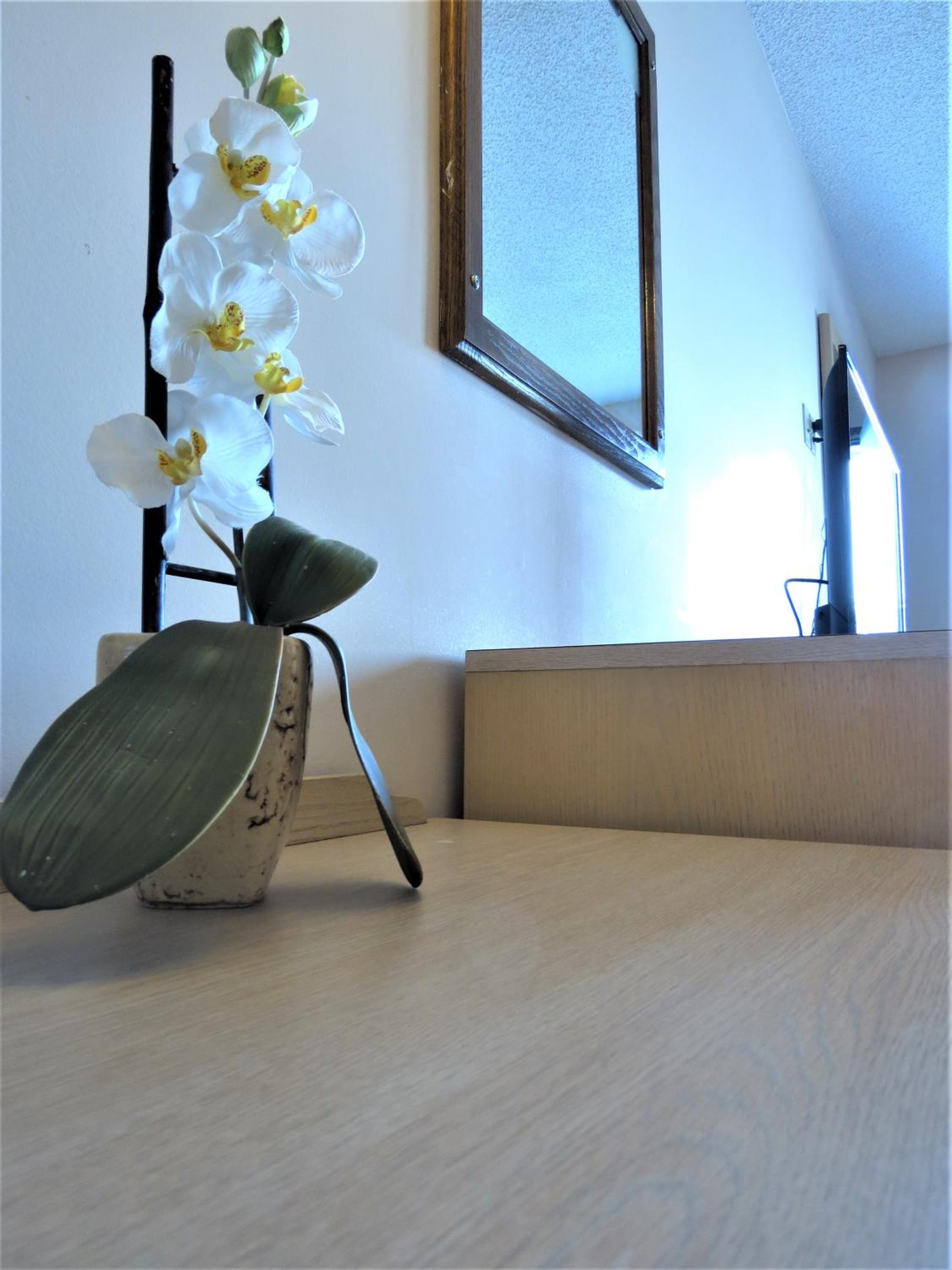 Classic Quadruple Room - Photo 11