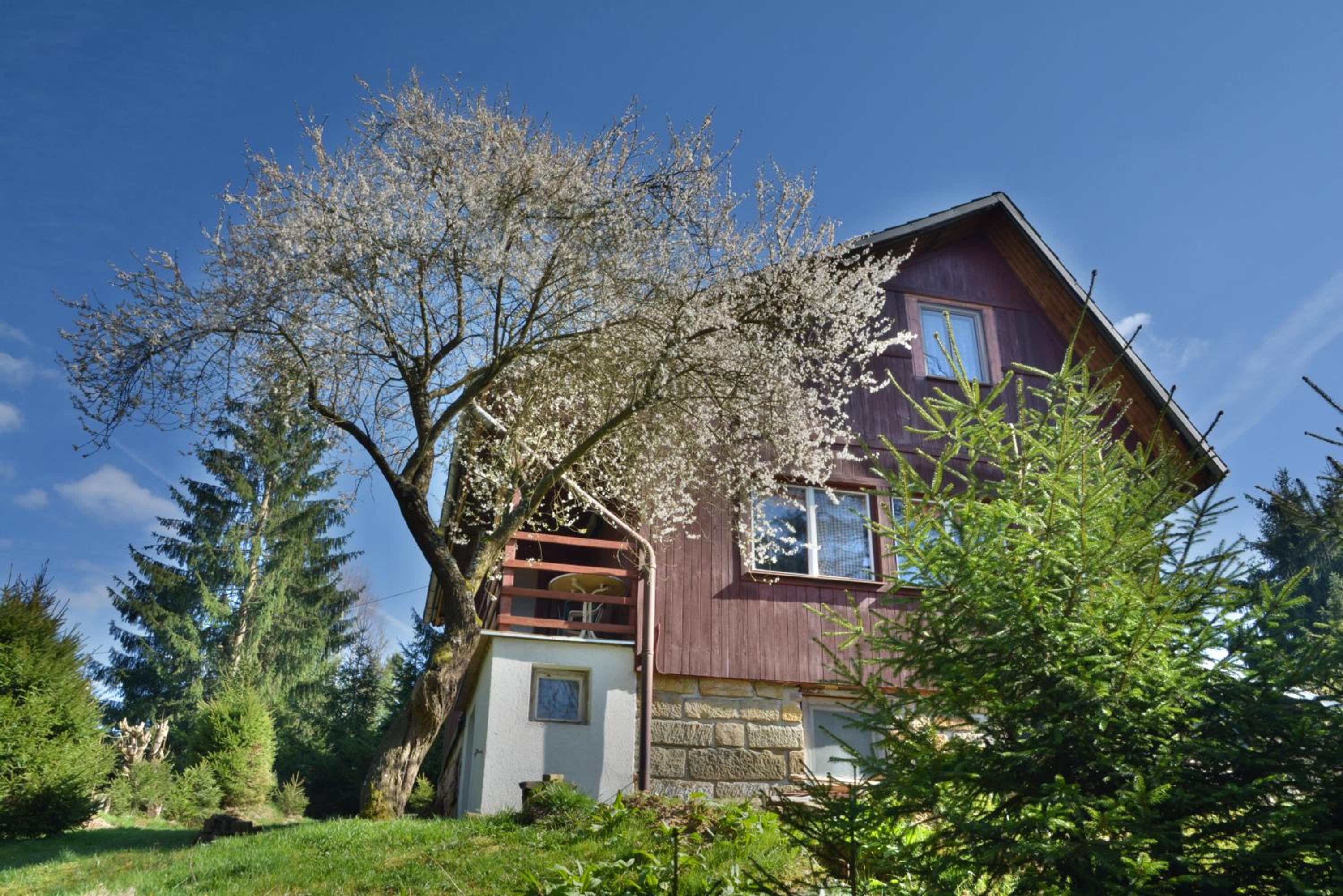 Two-Bedroom House photo 3