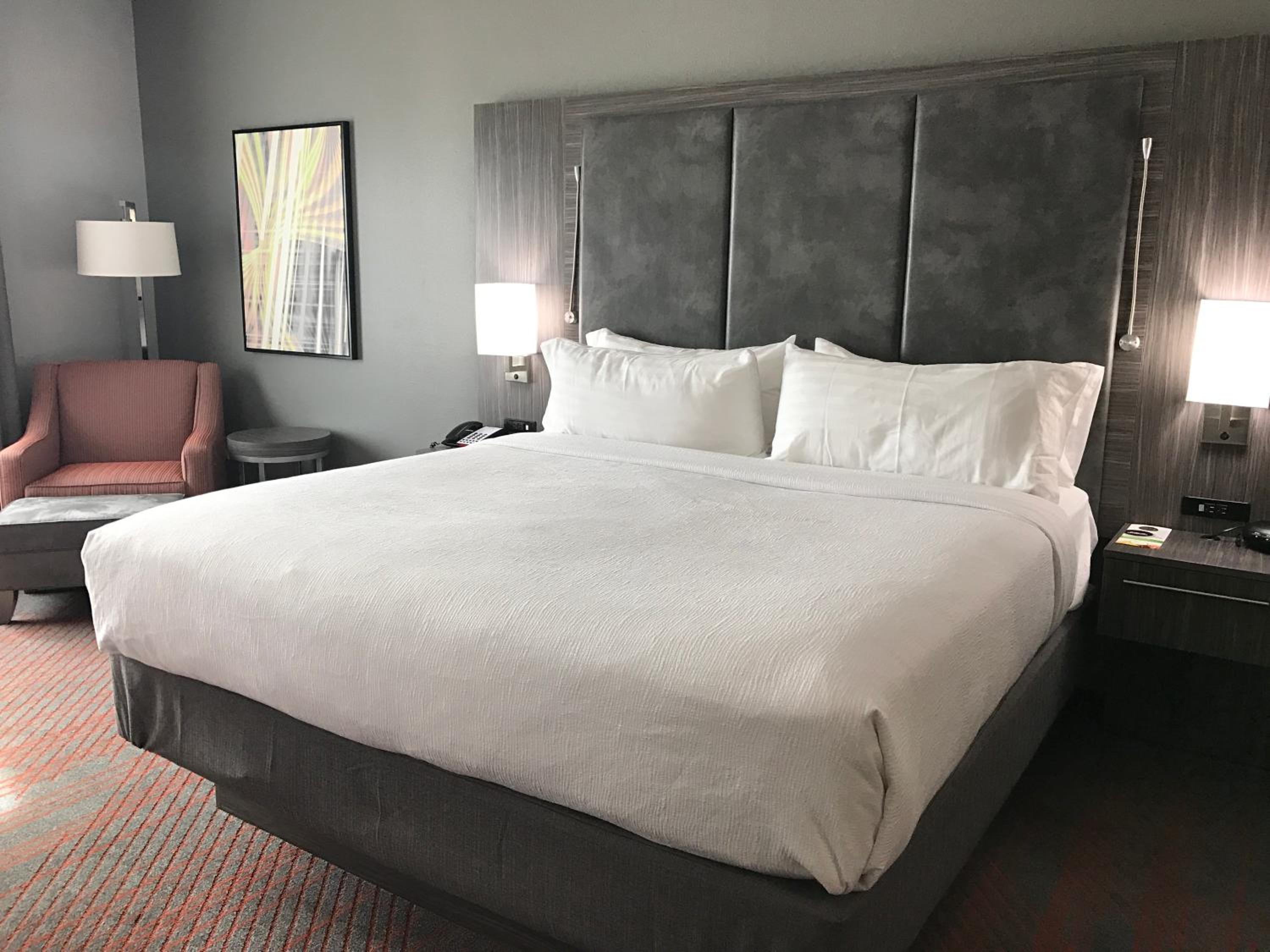 King Suite photo 1