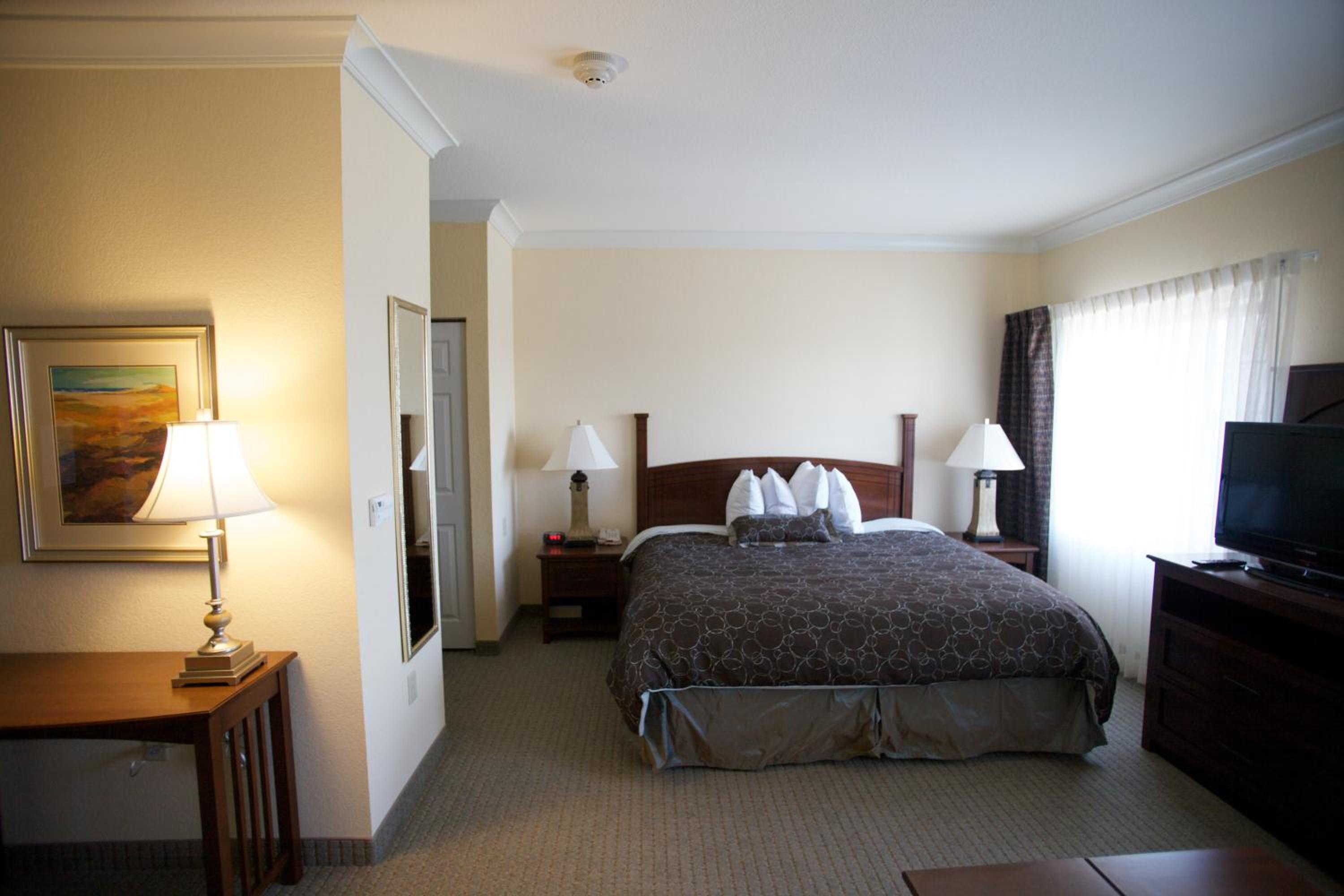 Queen Studio Suite - Photo 1