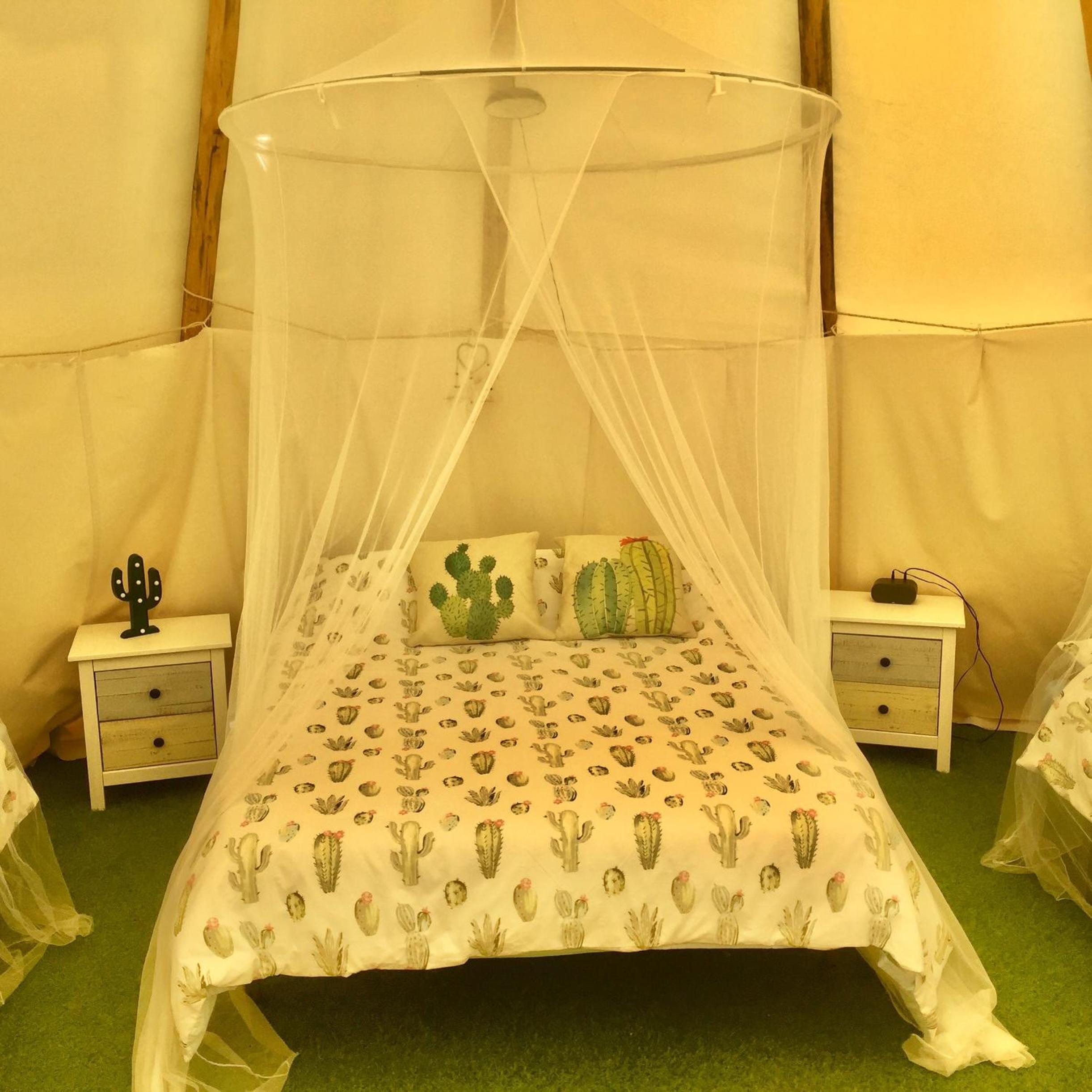 Tipi